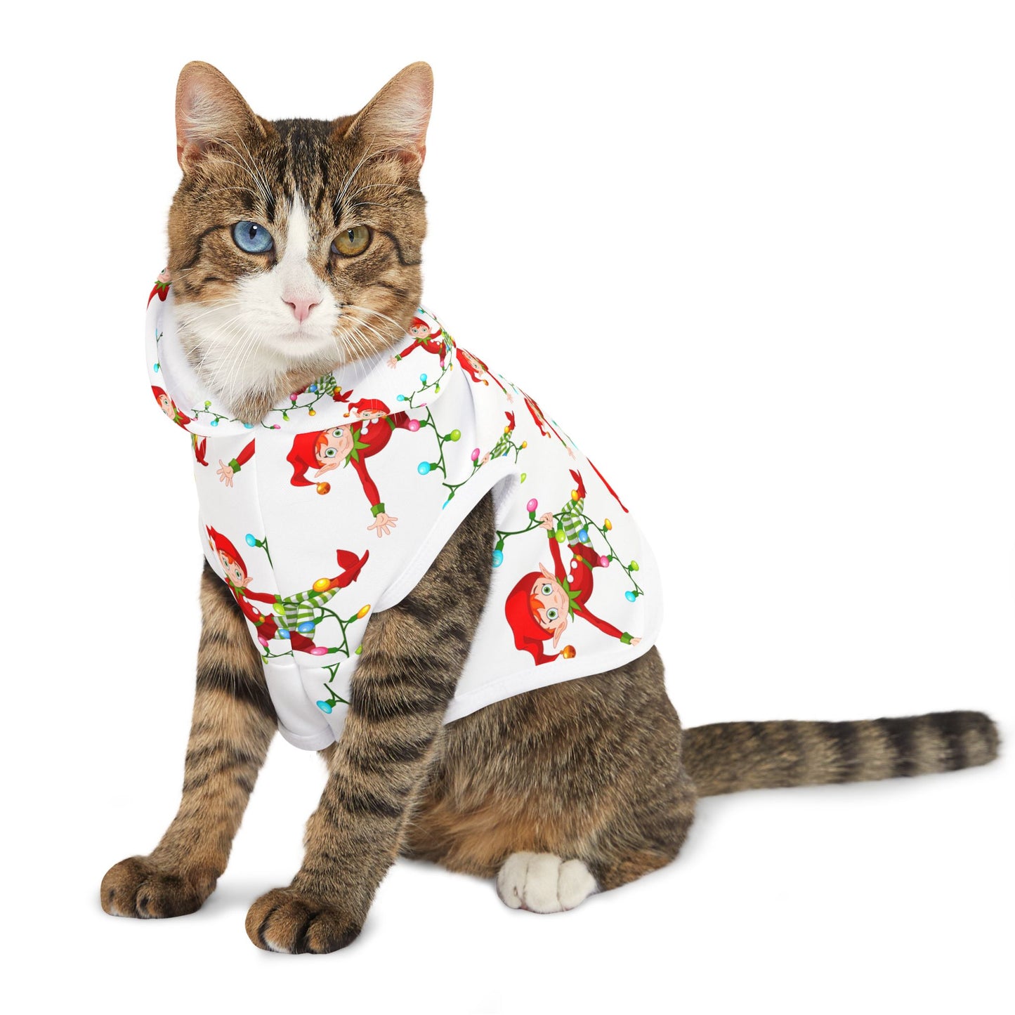 Pet Hoodie