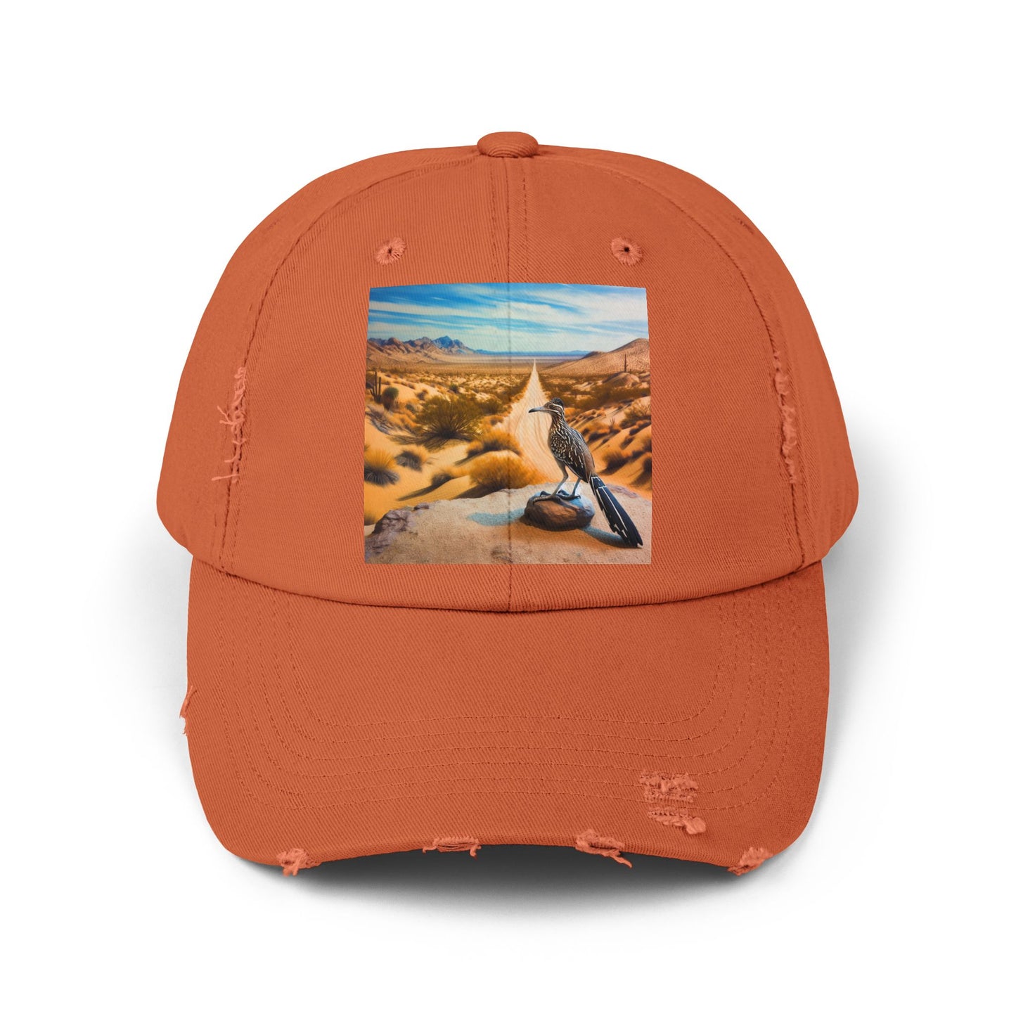 Unisex Distressed Cap