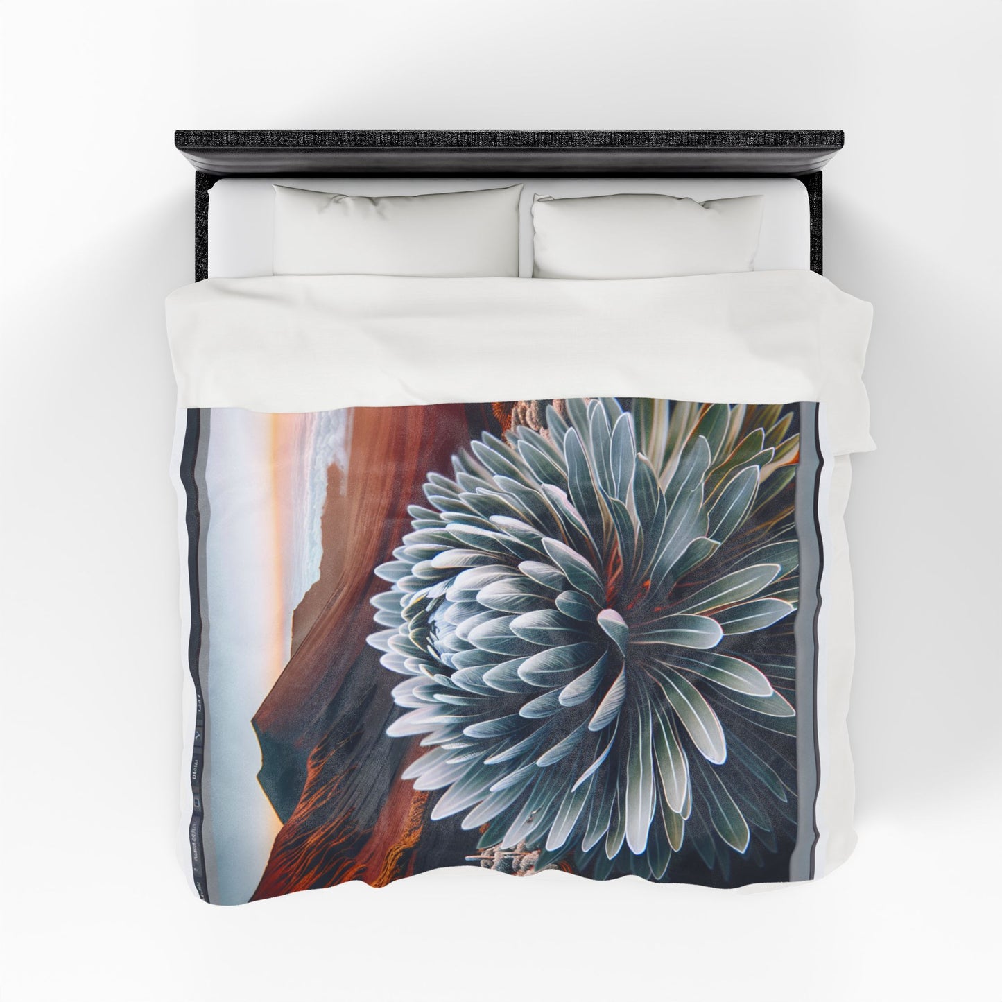 Velveteen Plush Blanket