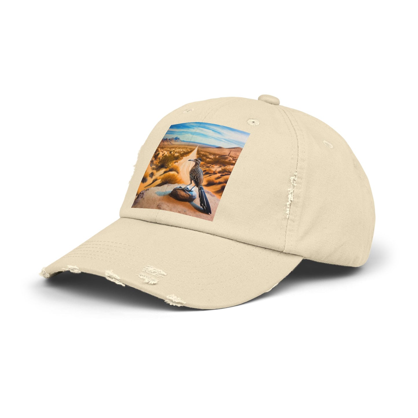 Unisex Distressed Cap