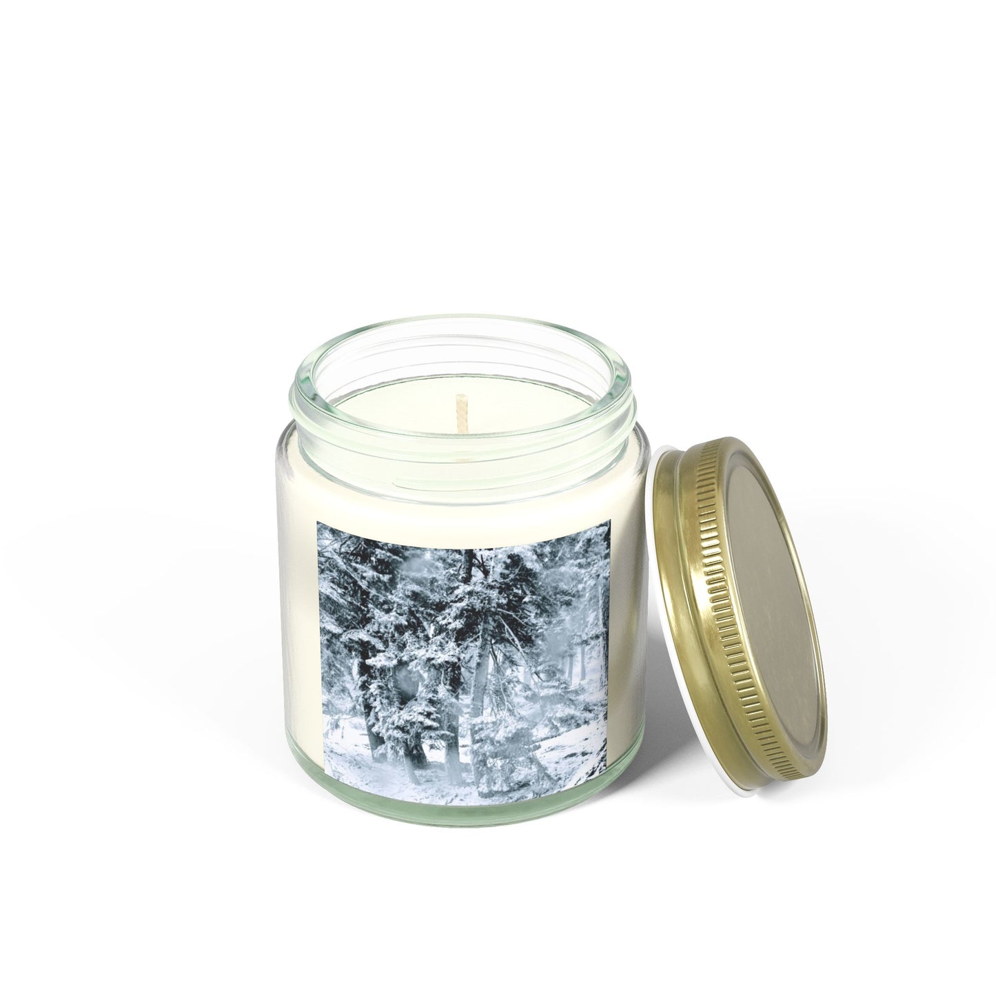 Scented Candles, Coconut Apricot Wax (4oz, 9oz)