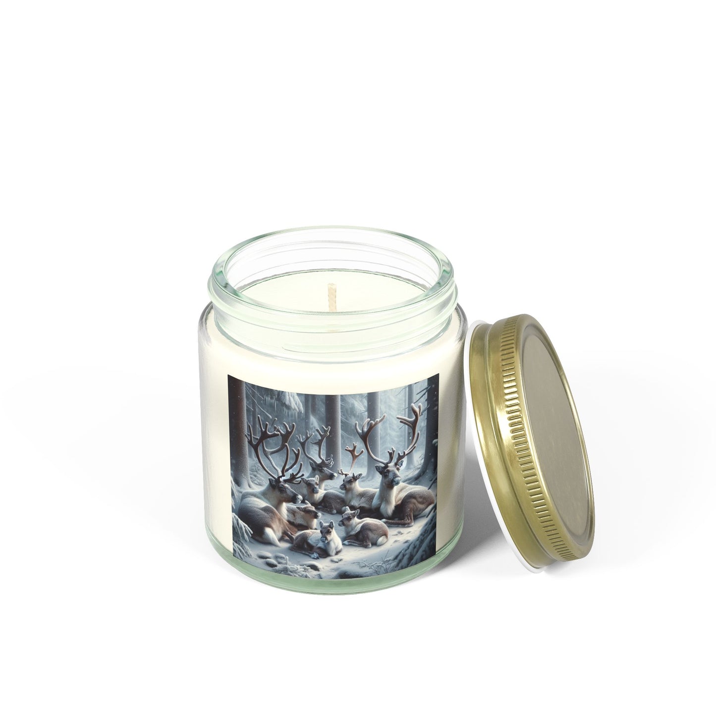 Scented Candles, Coconut Apricot Wax (4oz, 9oz)