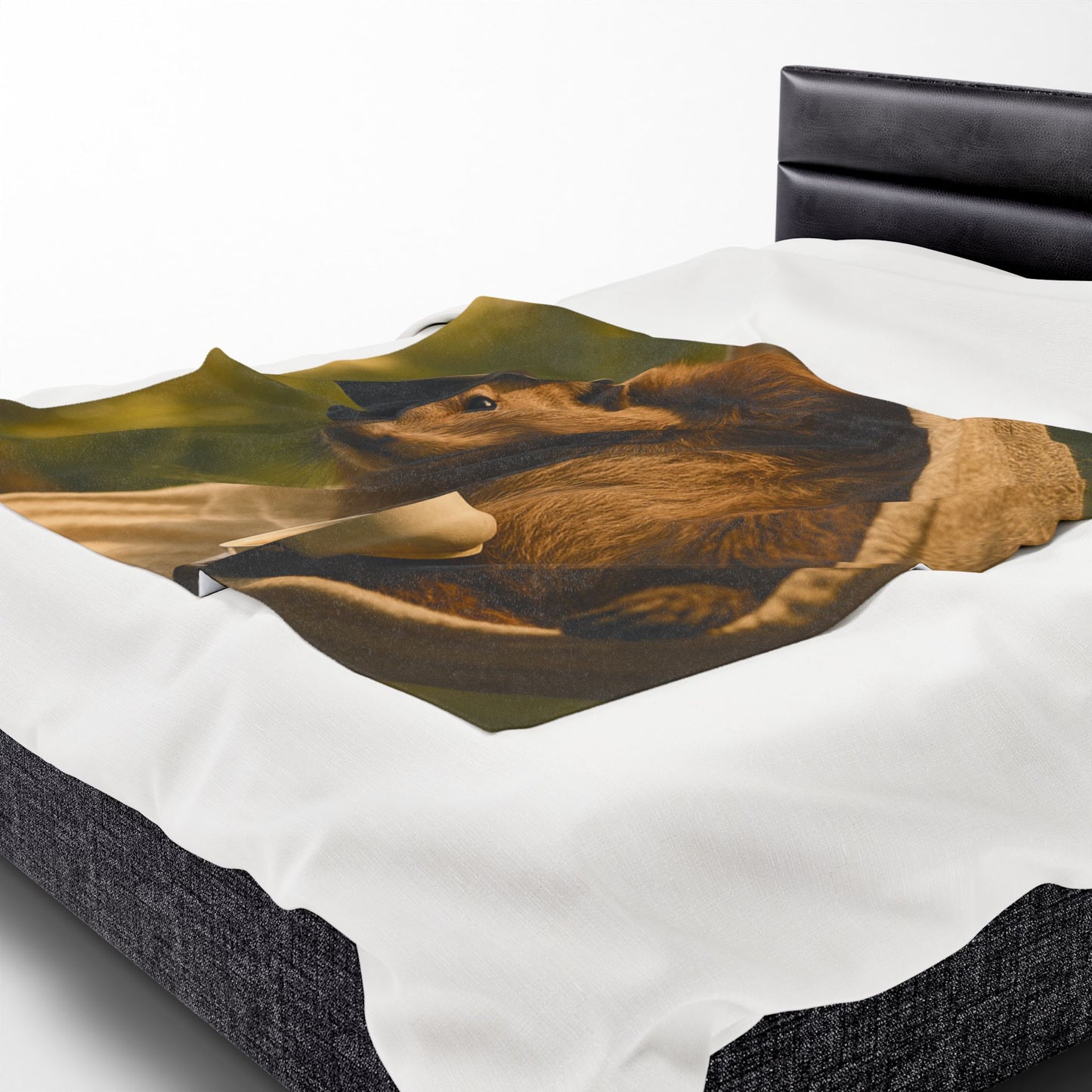 Velveteen Plush Blanket