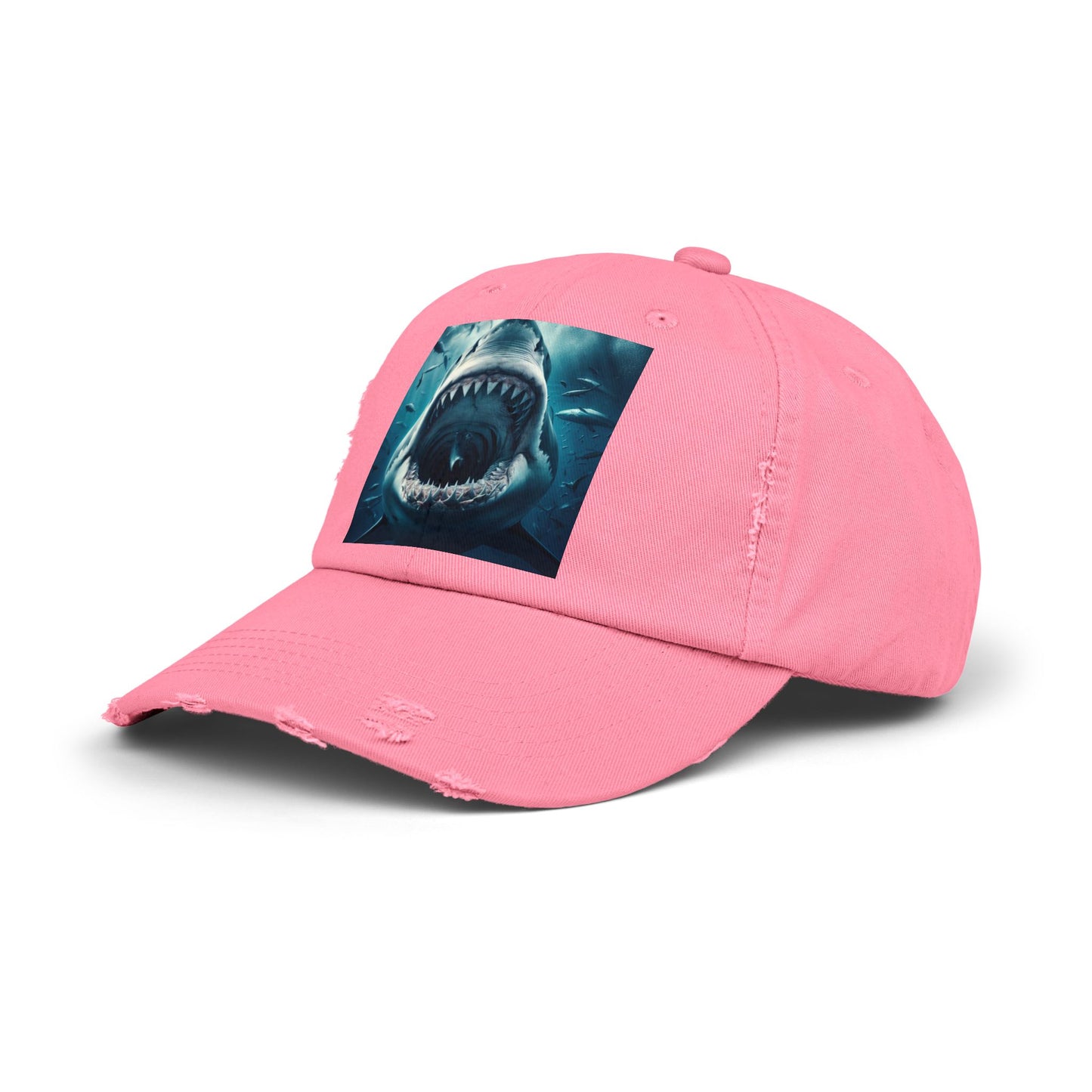 Unisex Distressed Cap