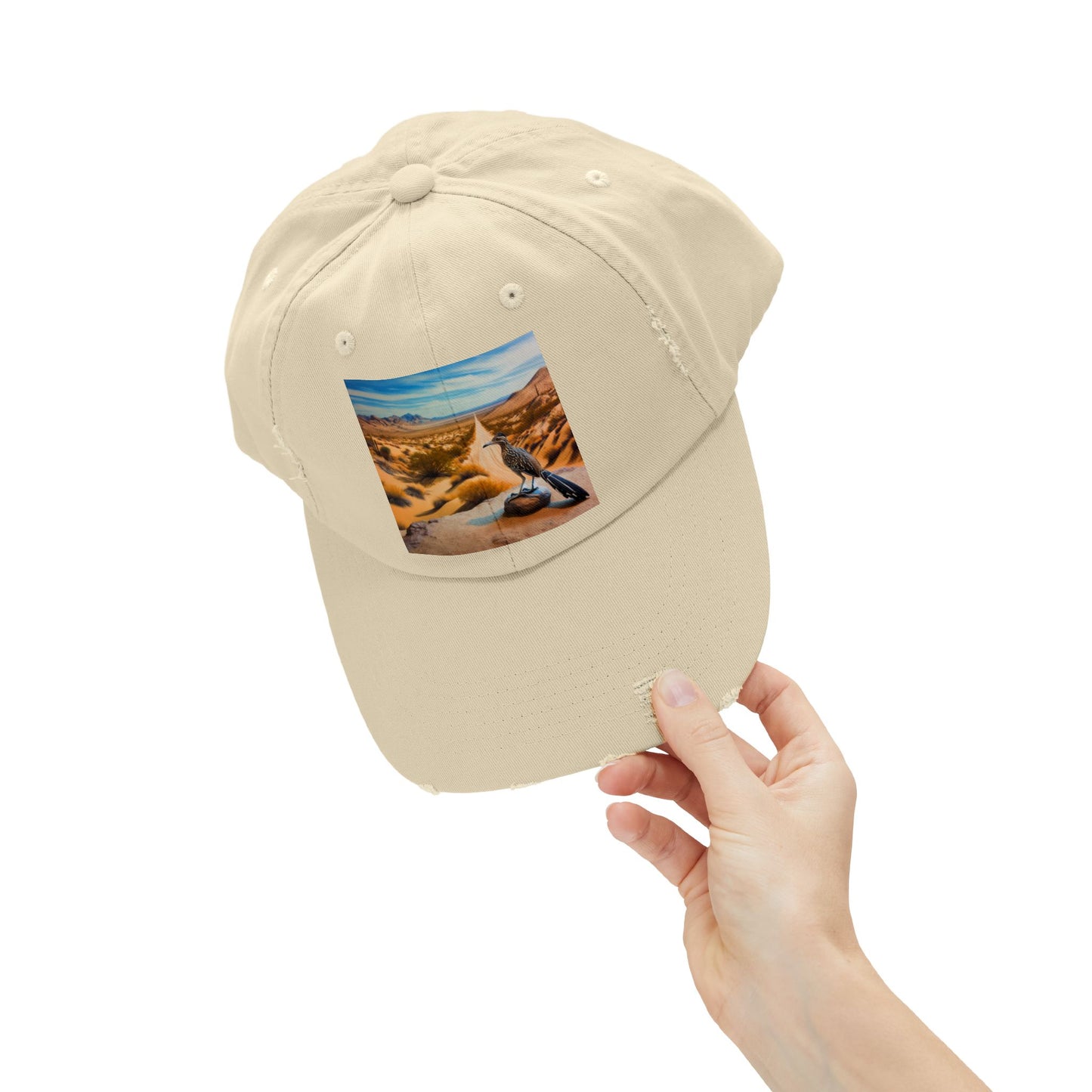 Unisex Distressed Cap