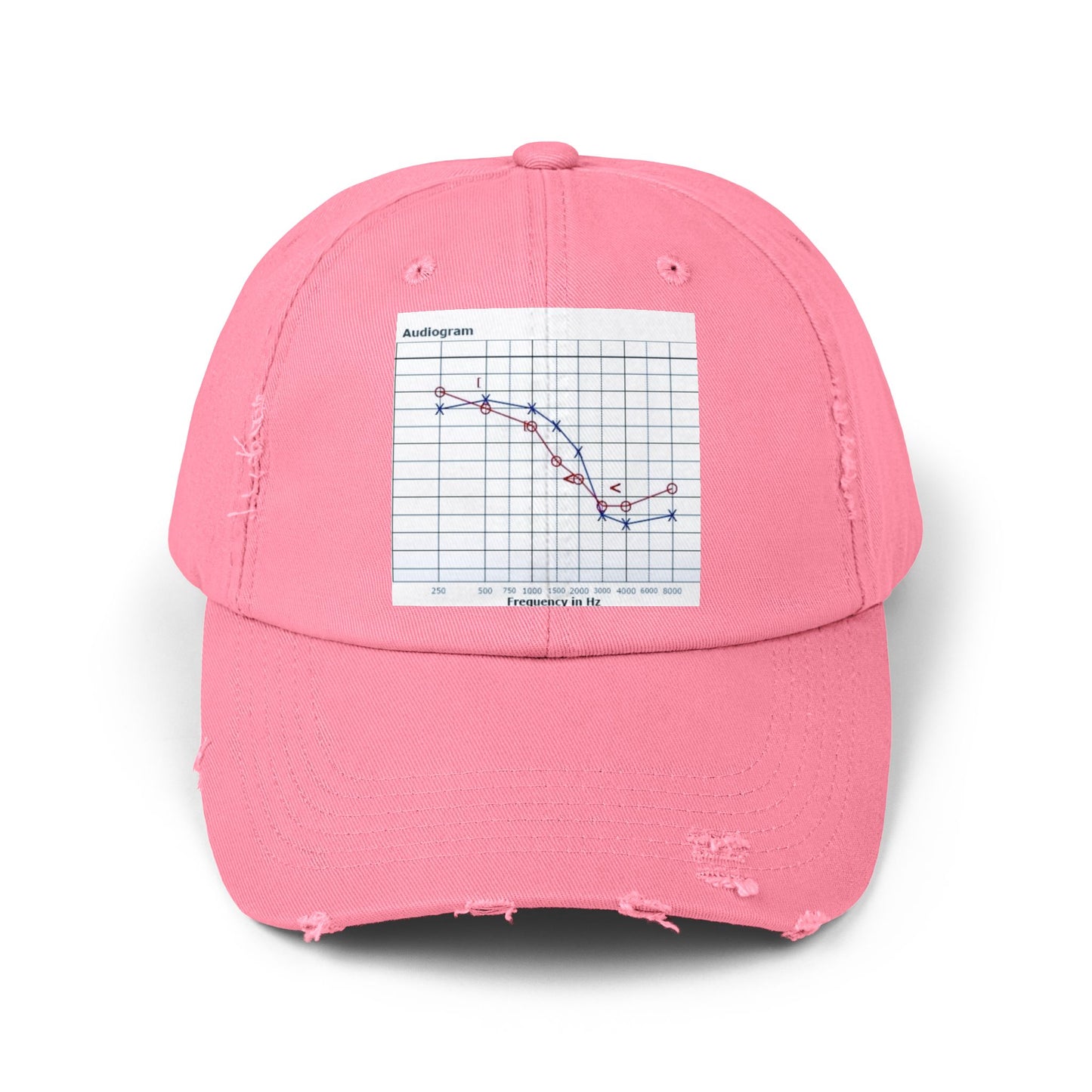 Unisex Distressed Cap