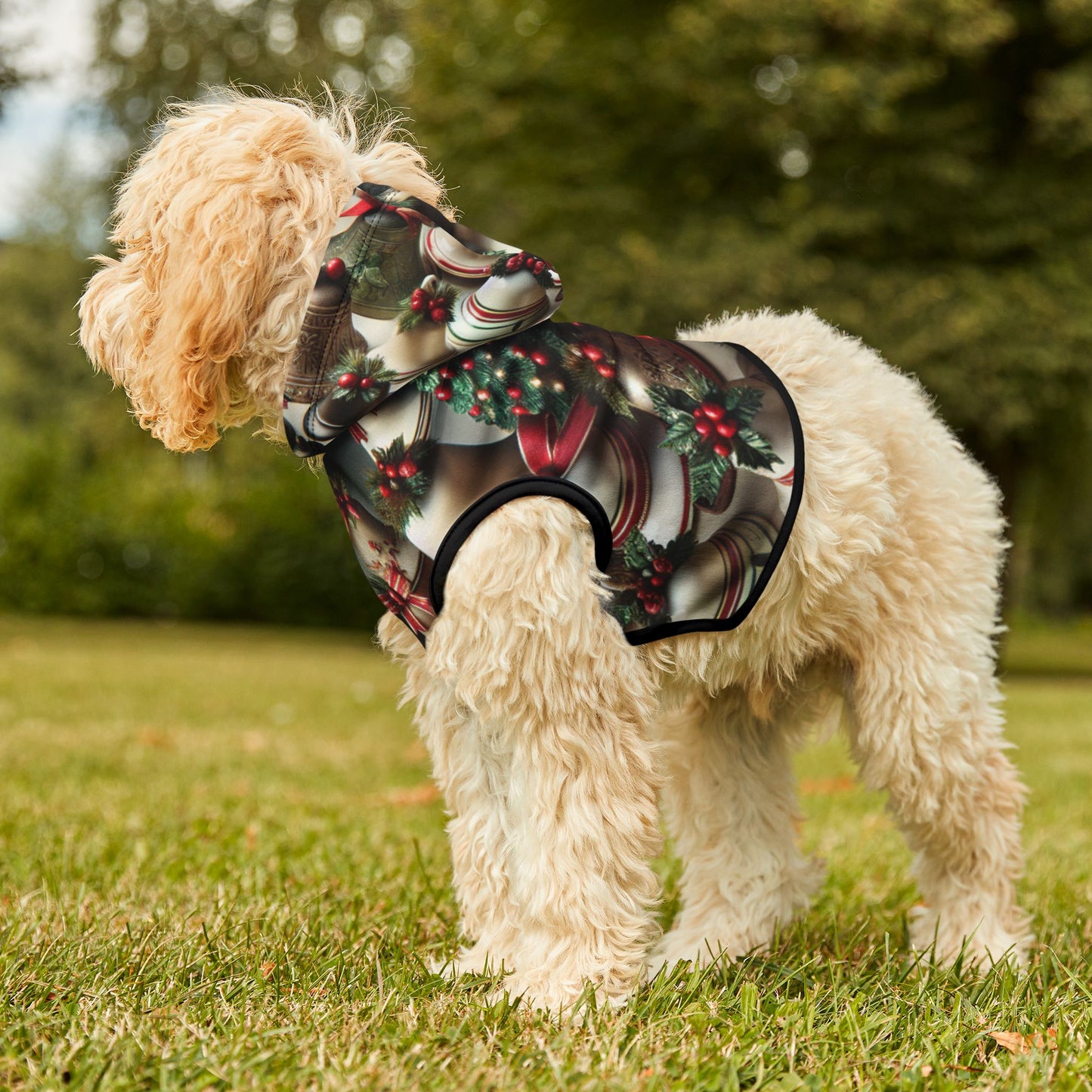 Pet Hoodie