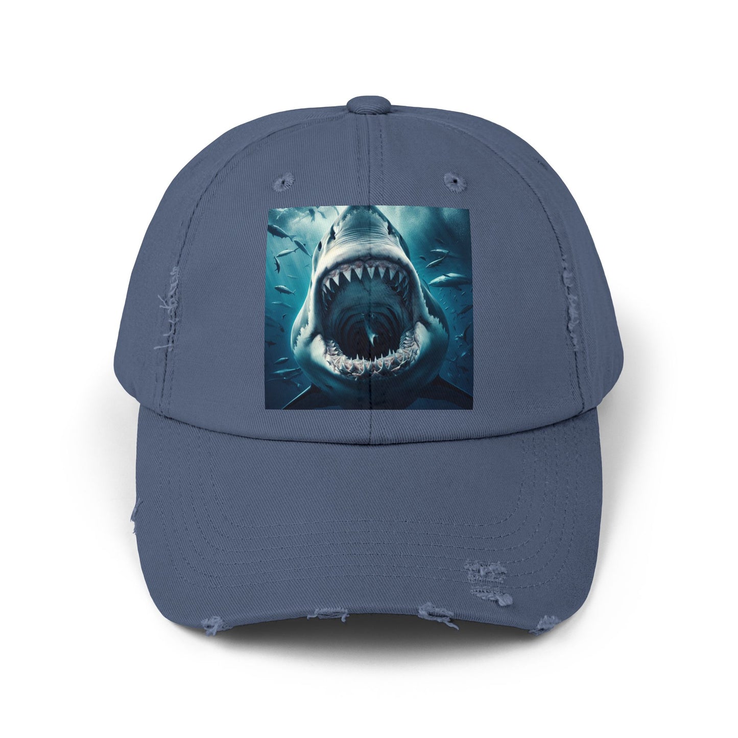 Unisex Distressed Cap