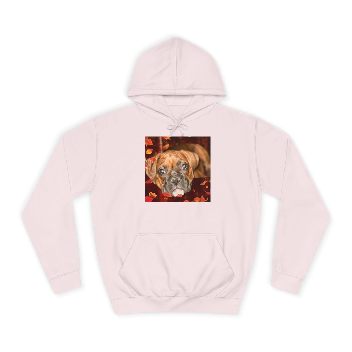 Unisex College Hoodie