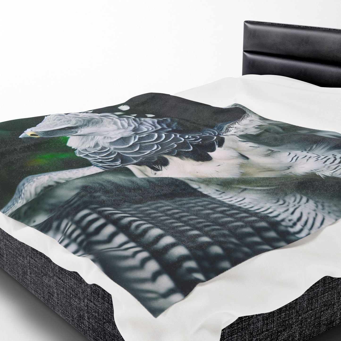 Velveteen Plush Blanket