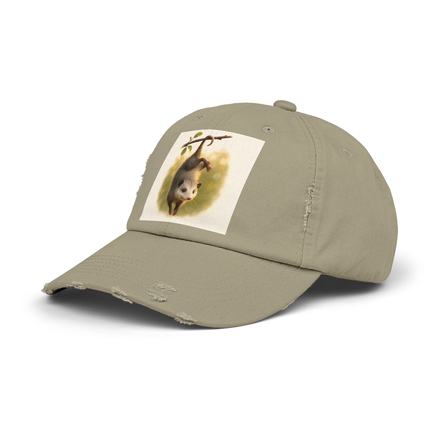 Unisex Distressed Cap