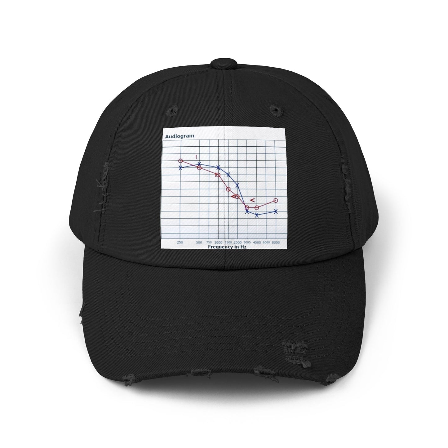 Unisex Distressed Cap