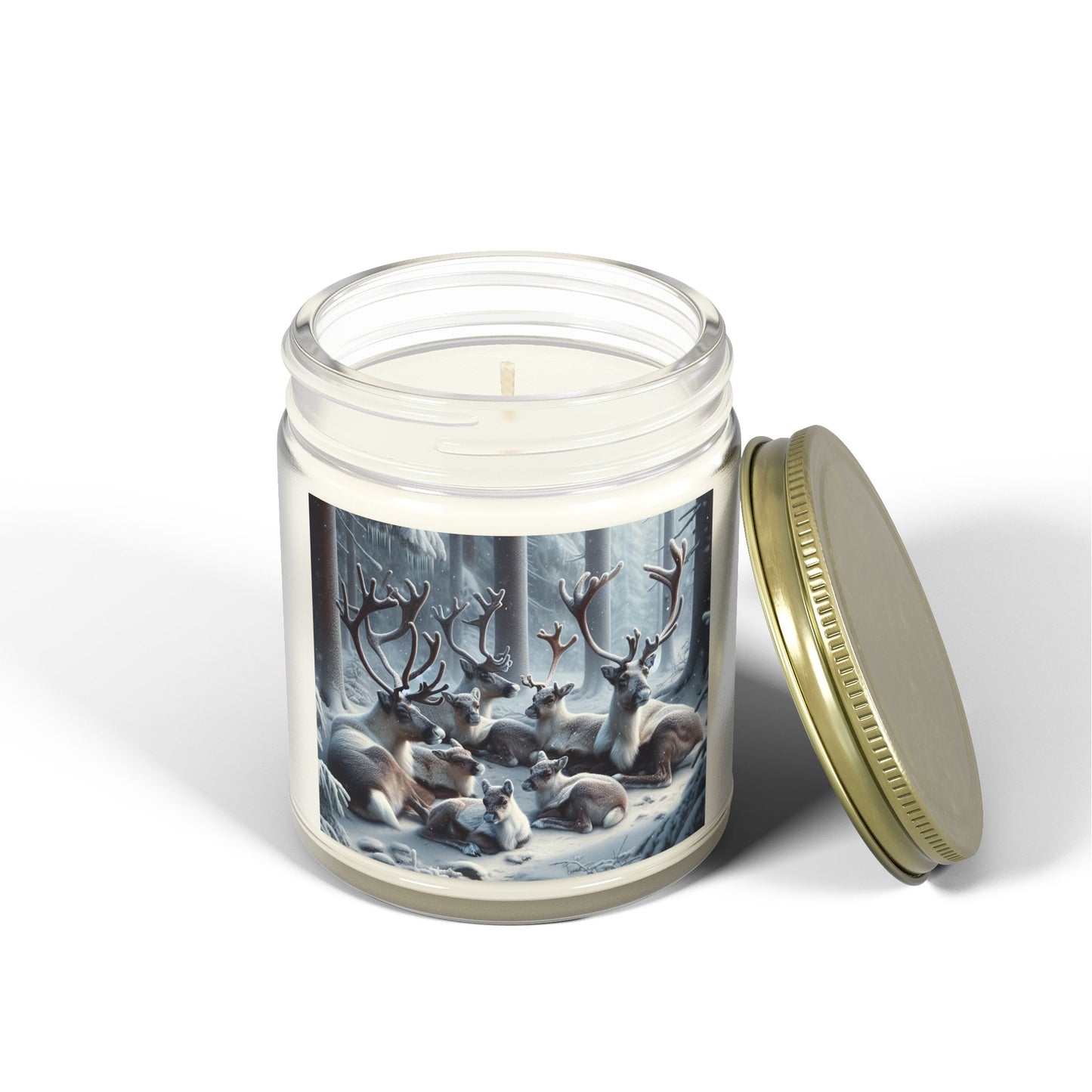 Scented Candles, Coconut Apricot Wax (4oz, 9oz)