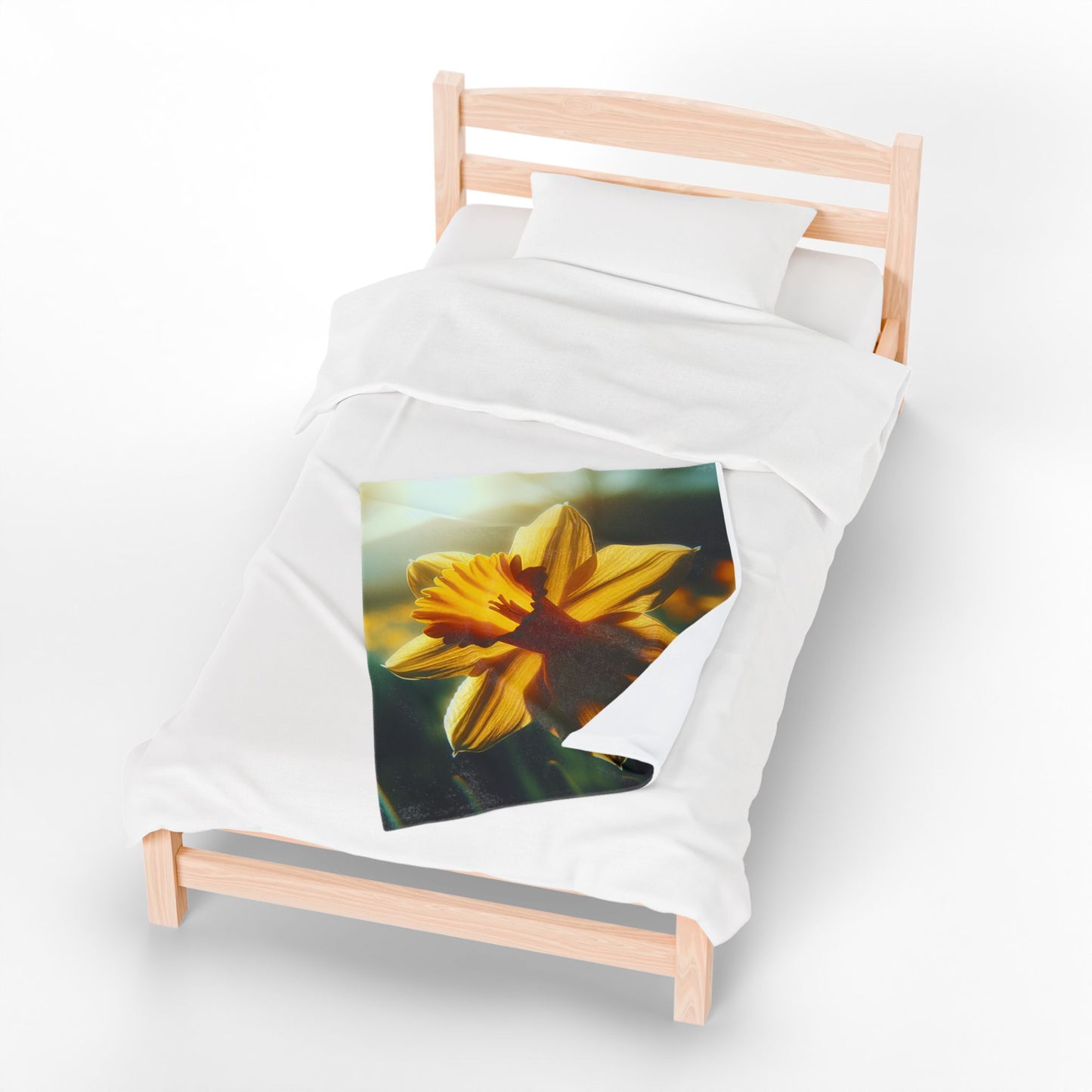 Velveteen Plush Blanket