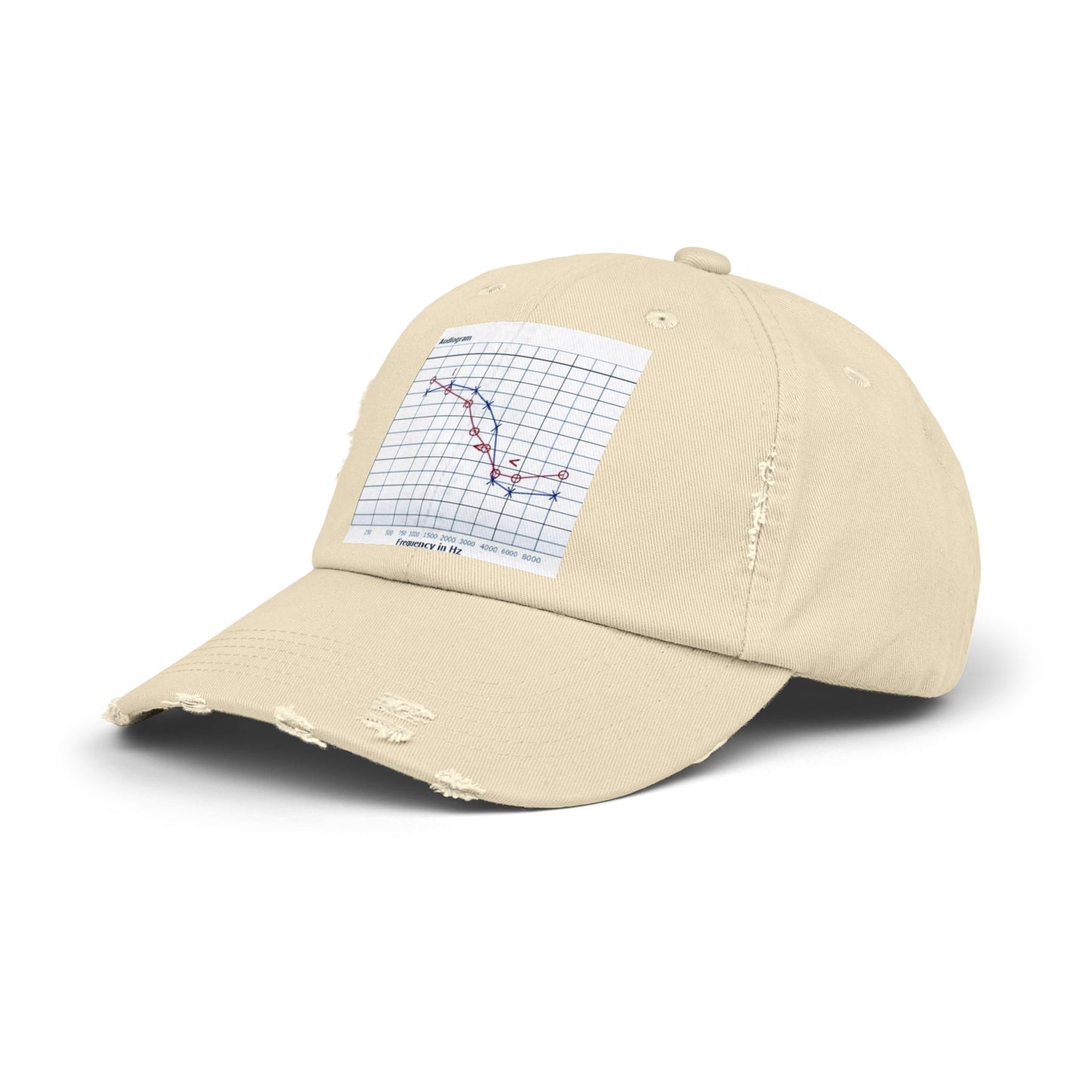 Unisex Distressed Cap