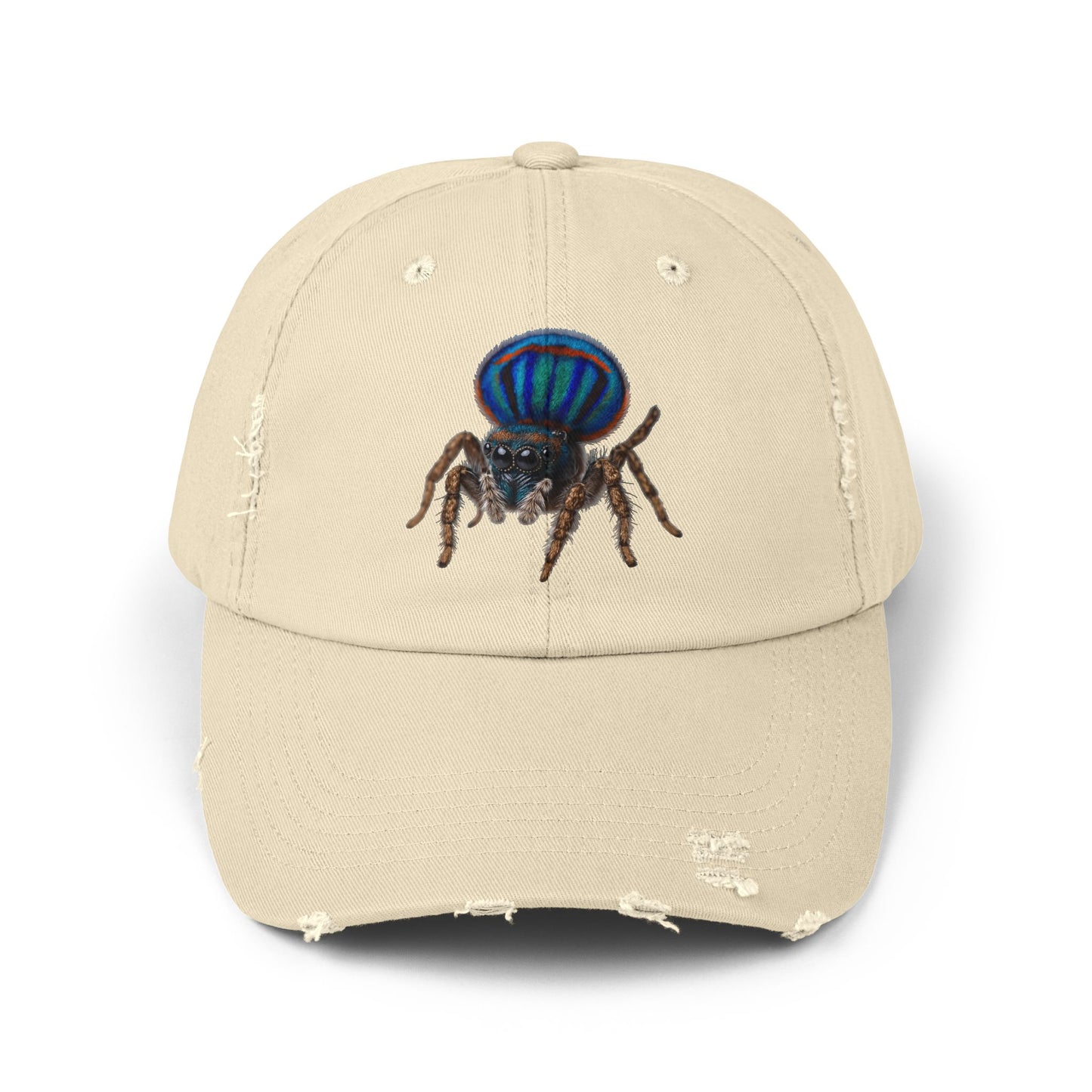 Unisex Distressed Cap