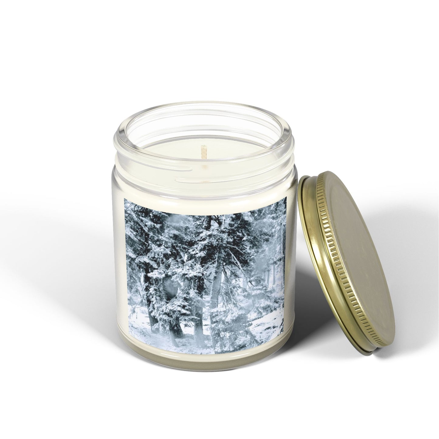 Scented Candles, Coconut Apricot Wax (4oz, 9oz)