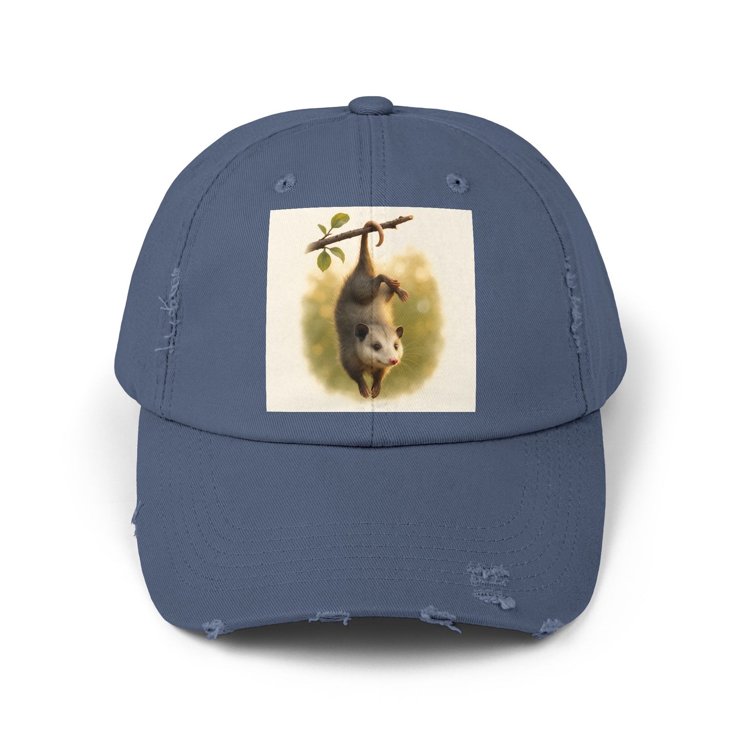 Unisex Distressed Cap