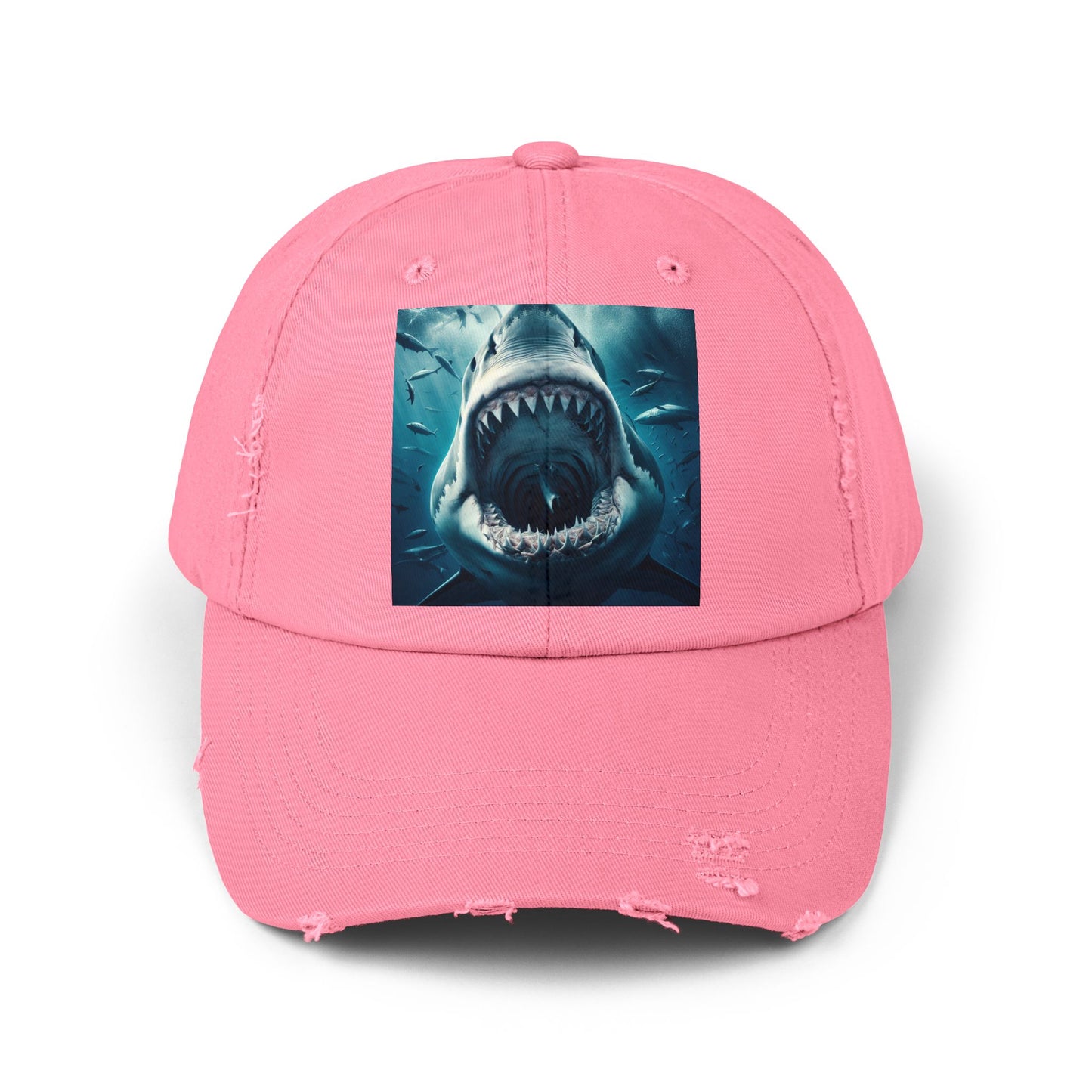 Unisex Distressed Cap