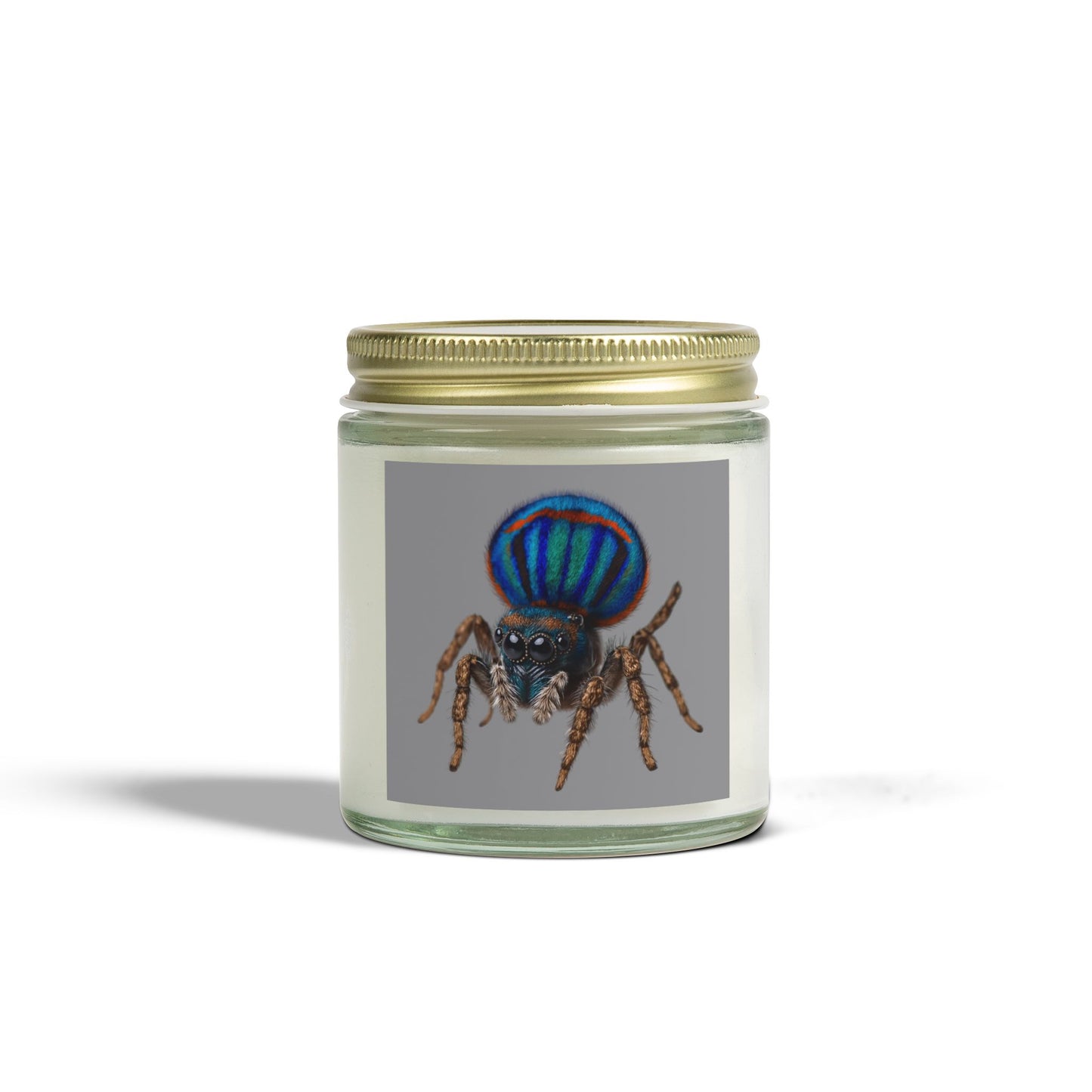 Scented Candles, Coconut Apricot Wax (4oz, 9oz)