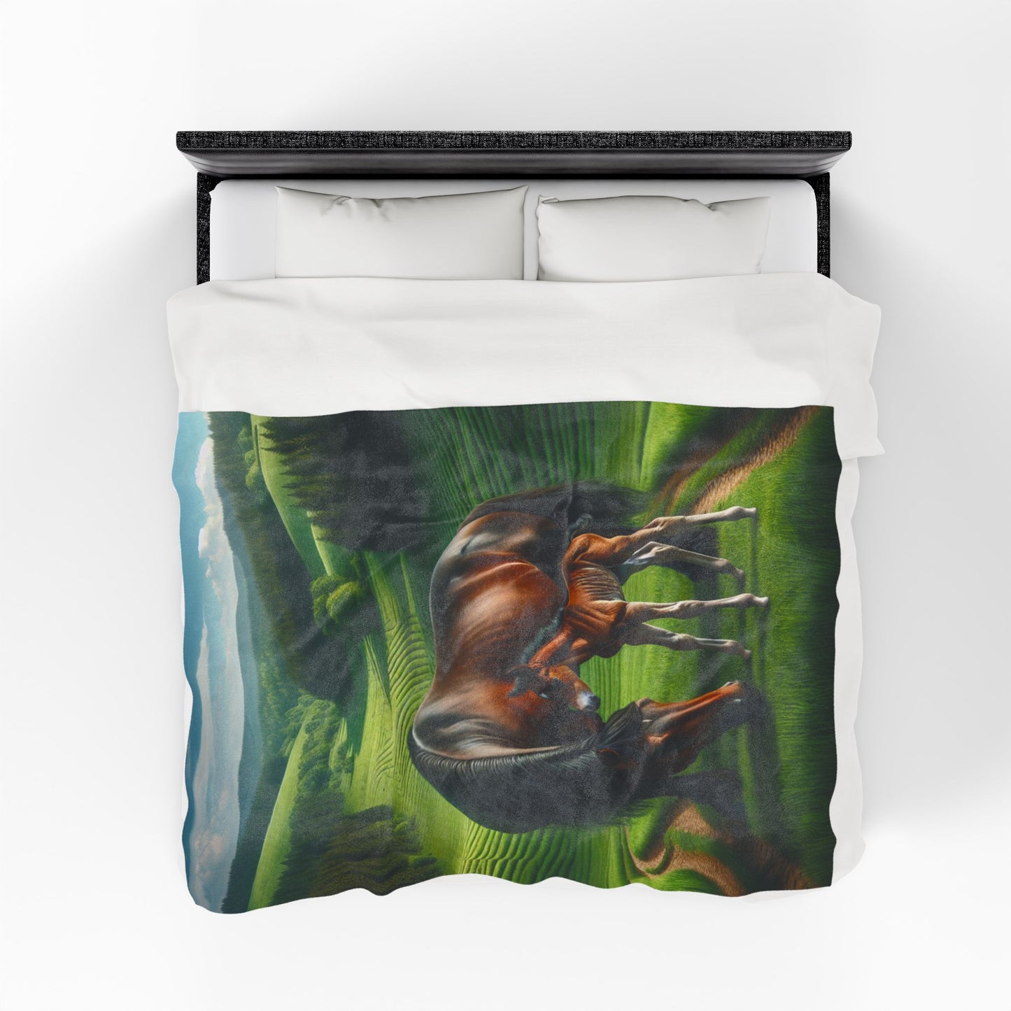 Velveteen Plush Blanket