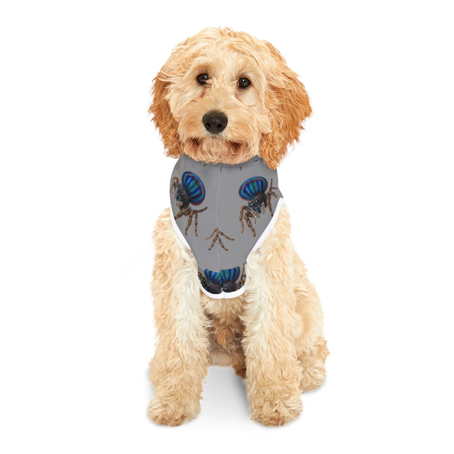 Pet Hoodie