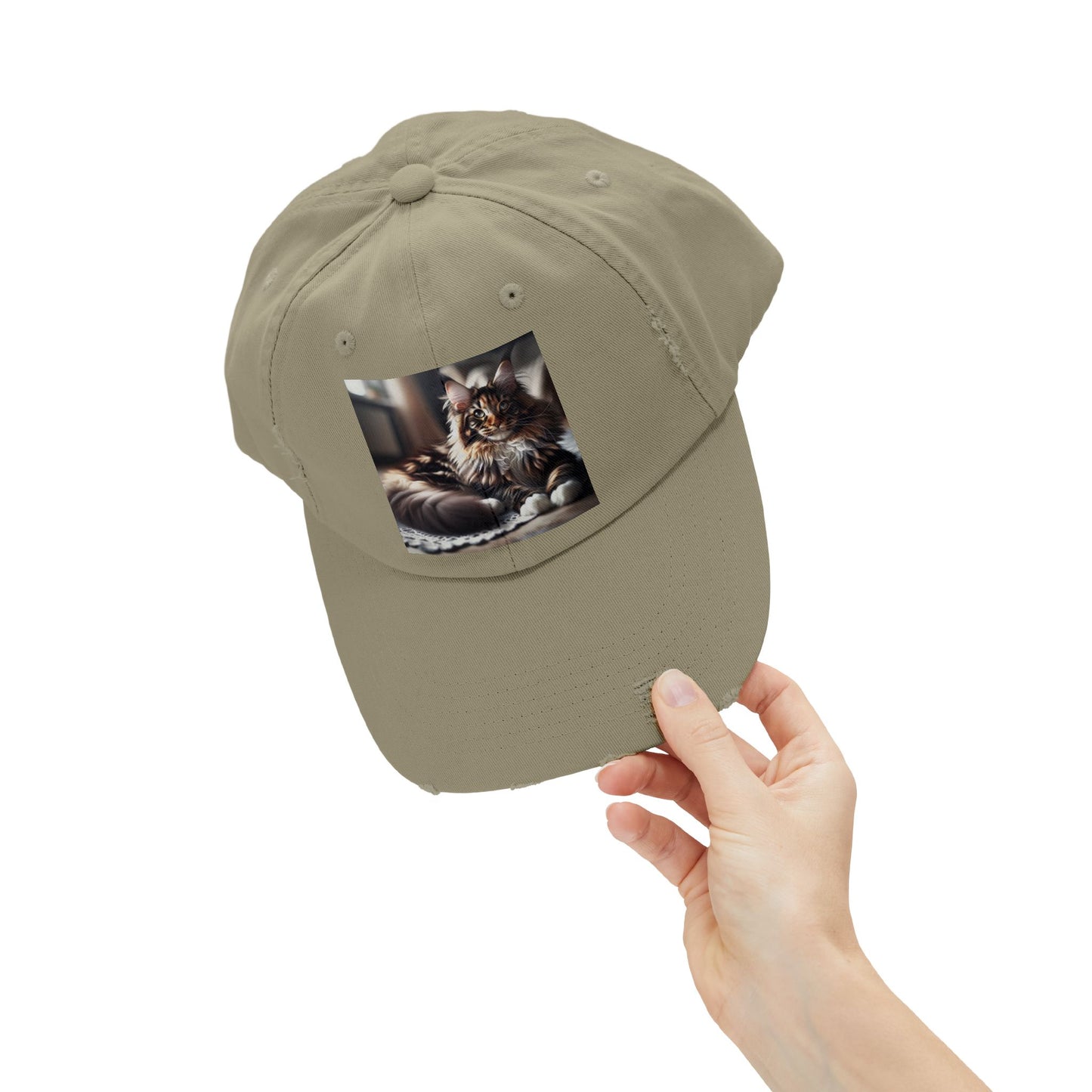 Unisex Distressed Cap