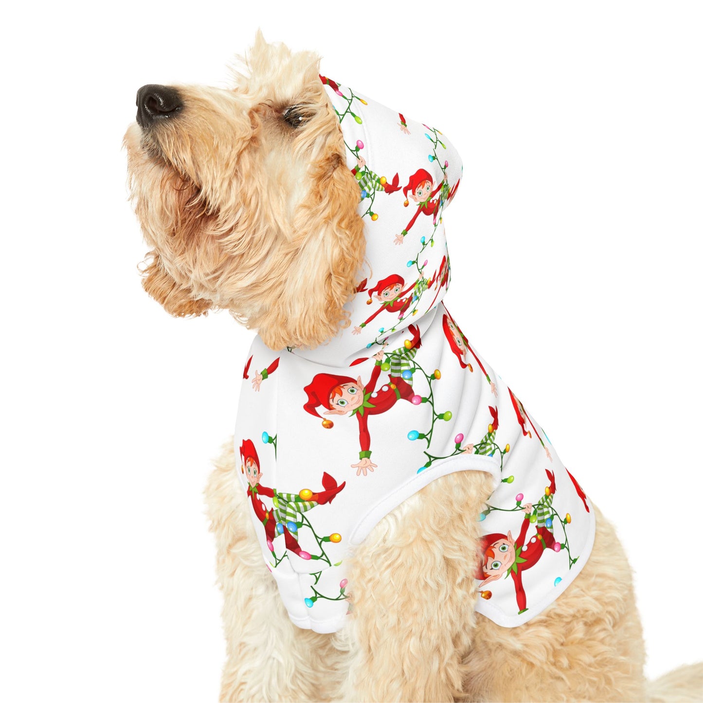Pet Hoodie
