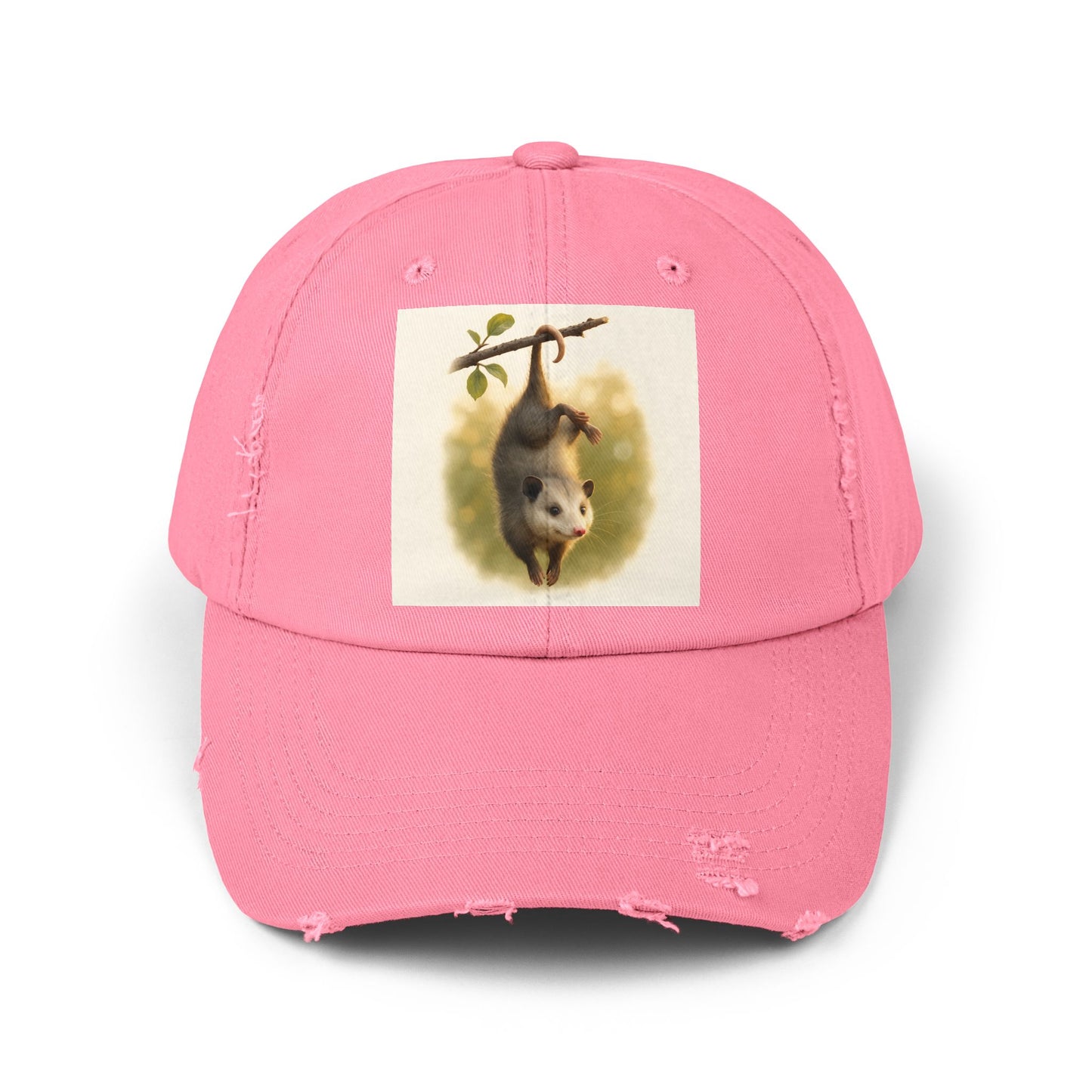 Unisex Distressed Cap