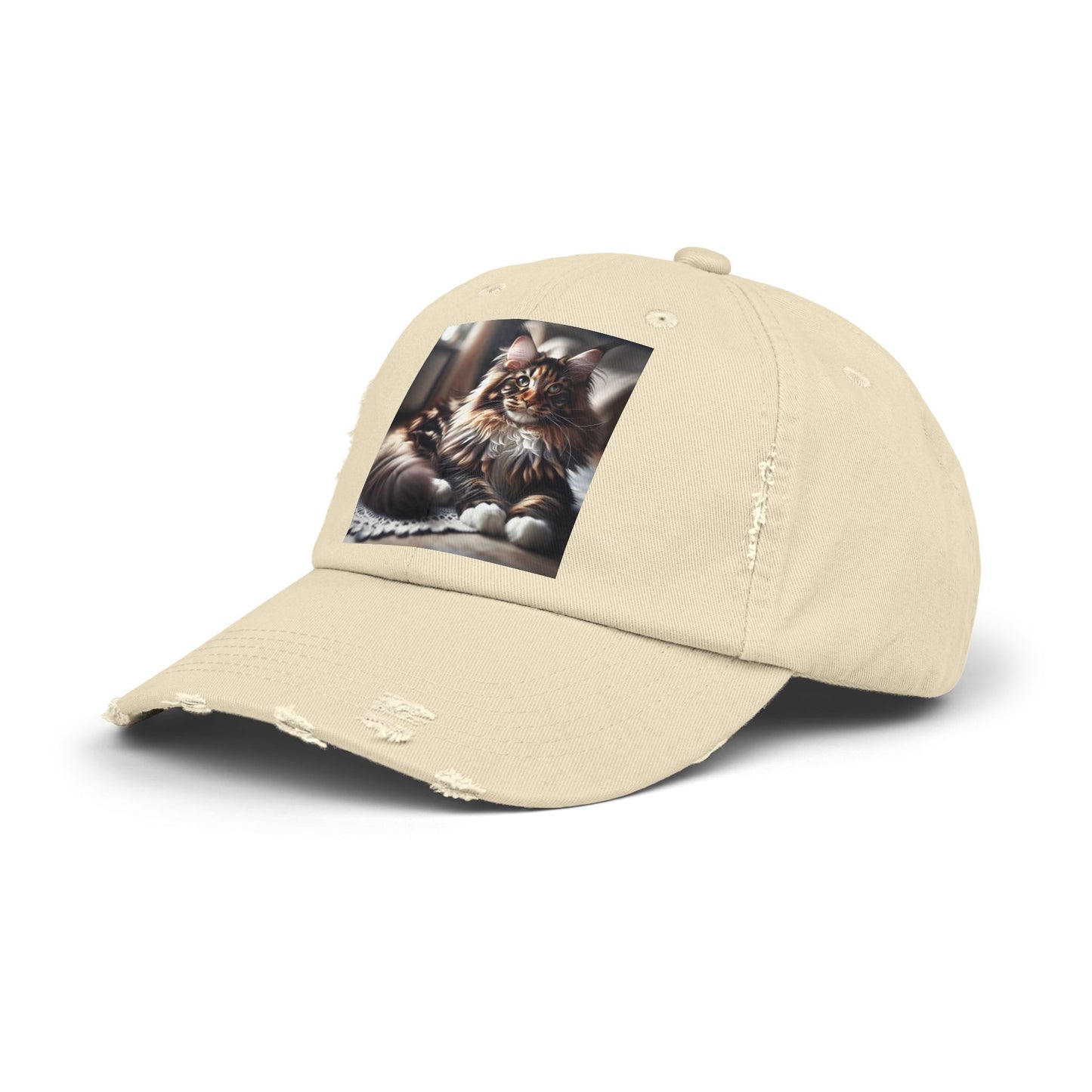 Unisex Distressed Cap