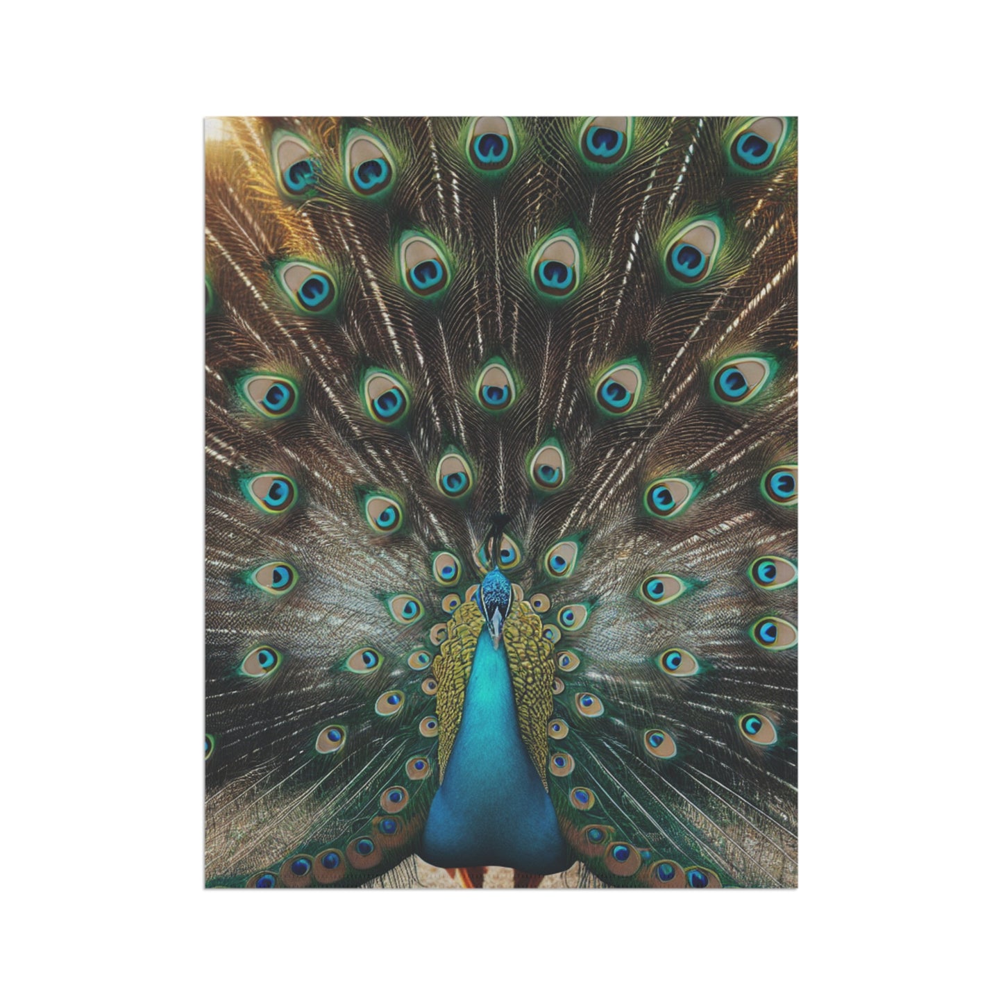 Garden & House Banner