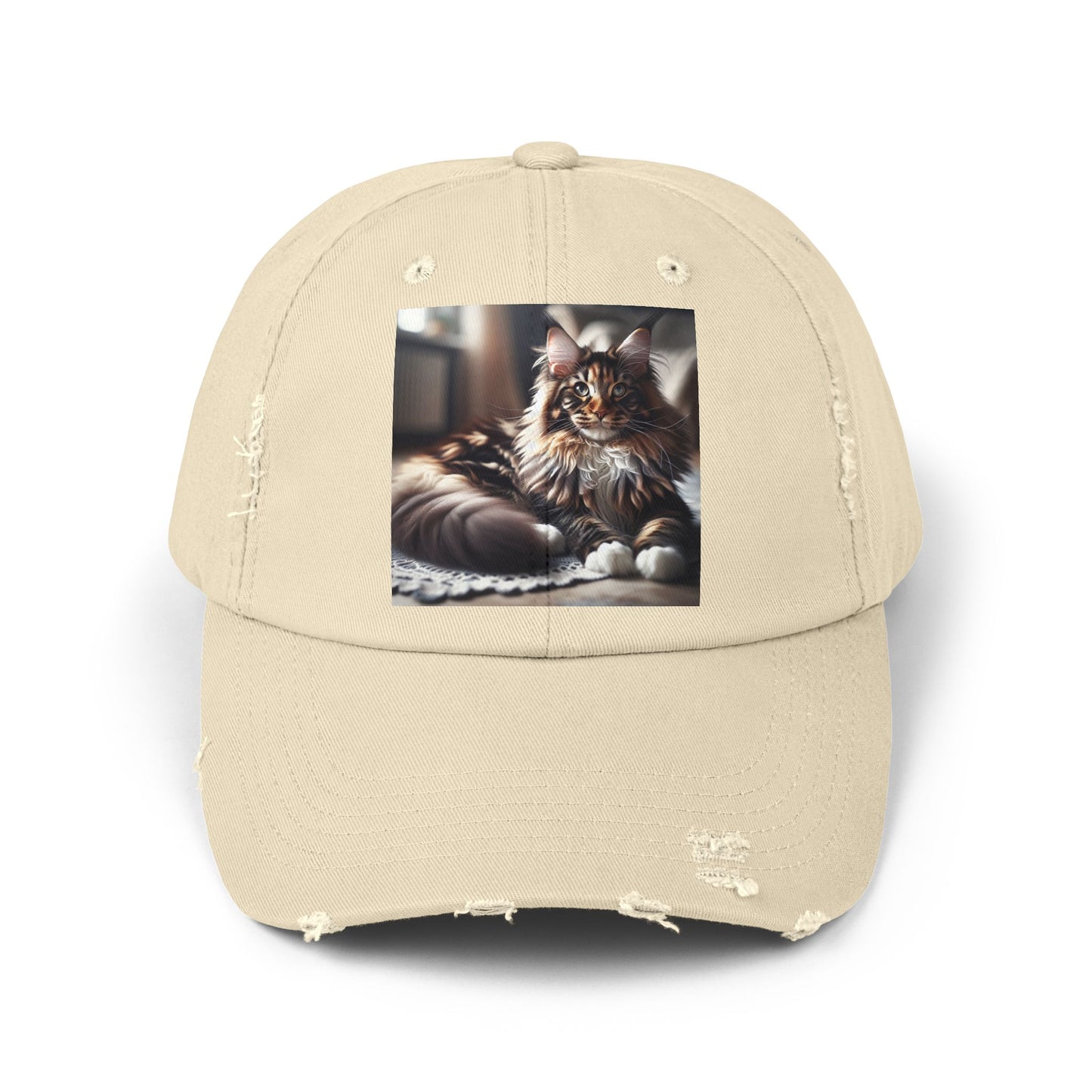 Unisex Distressed Cap