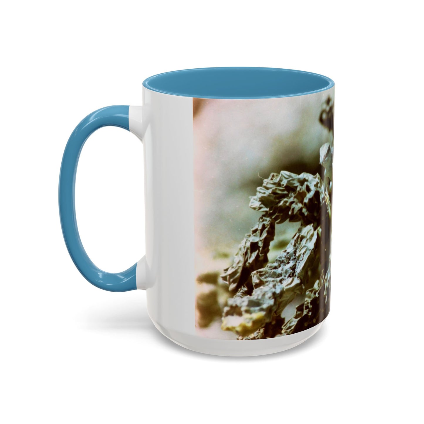 Accent Coffee Mug, 11oz