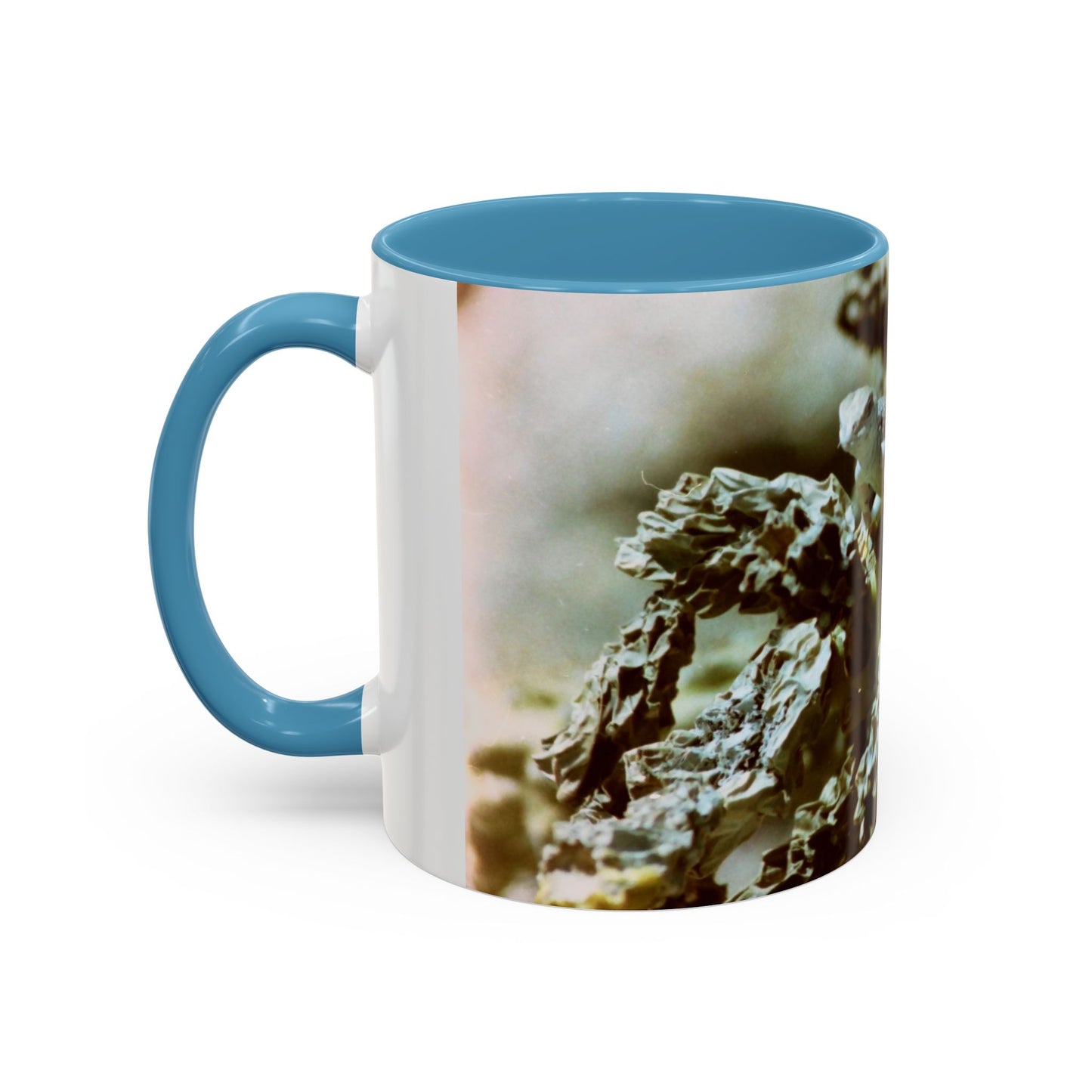 Accent Coffee Mug, 11oz