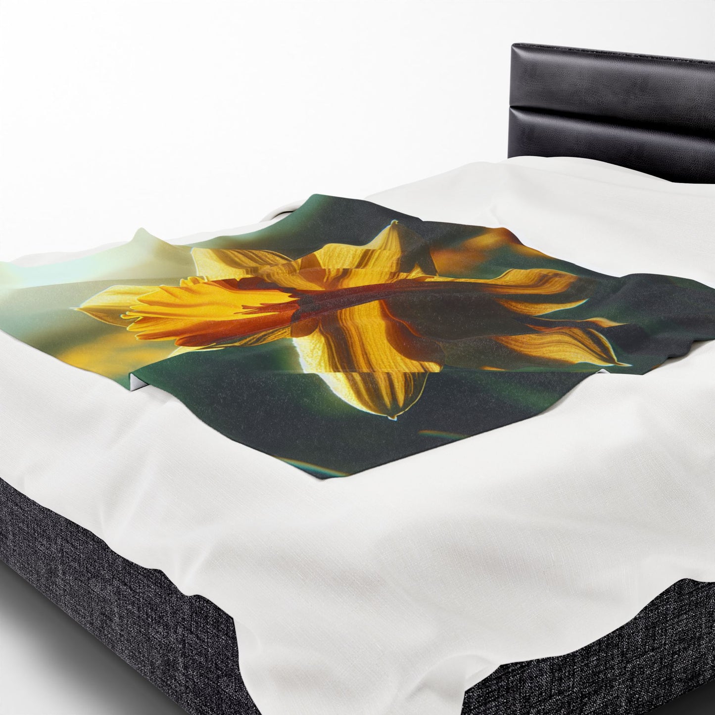 Velveteen Plush Blanket