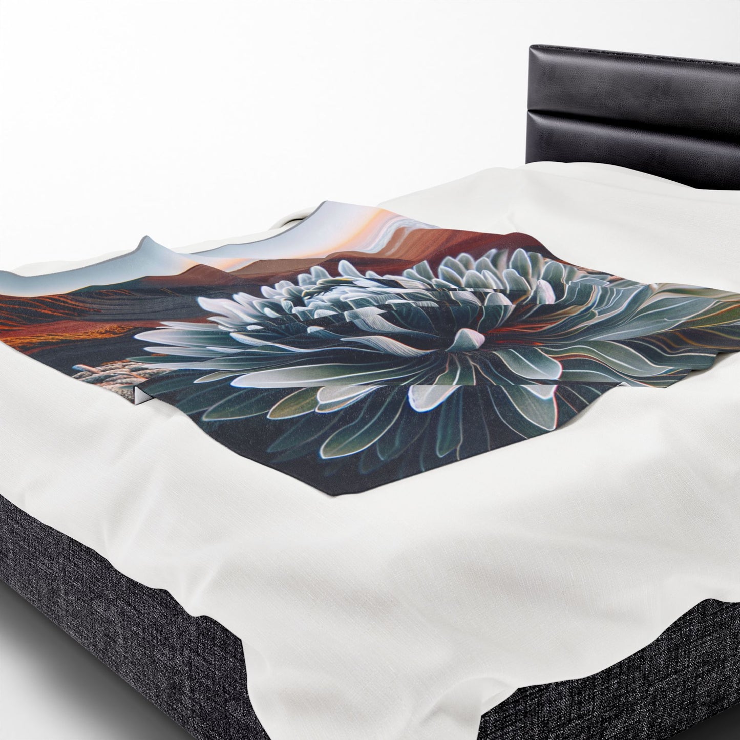 Velveteen Plush Blanket