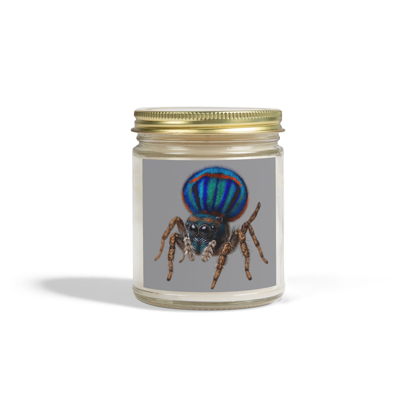 Scented Candles, Coconut Apricot Wax (4oz, 9oz)