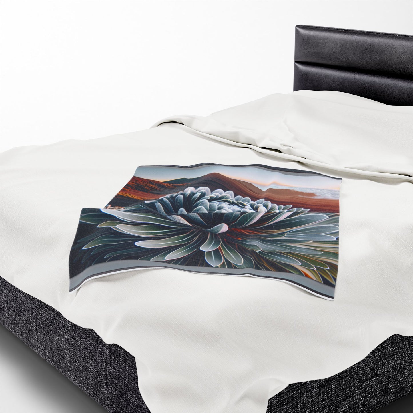 Velveteen Plush Blanket