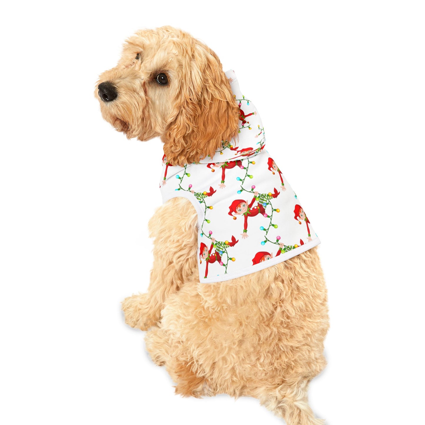 Pet Hoodie