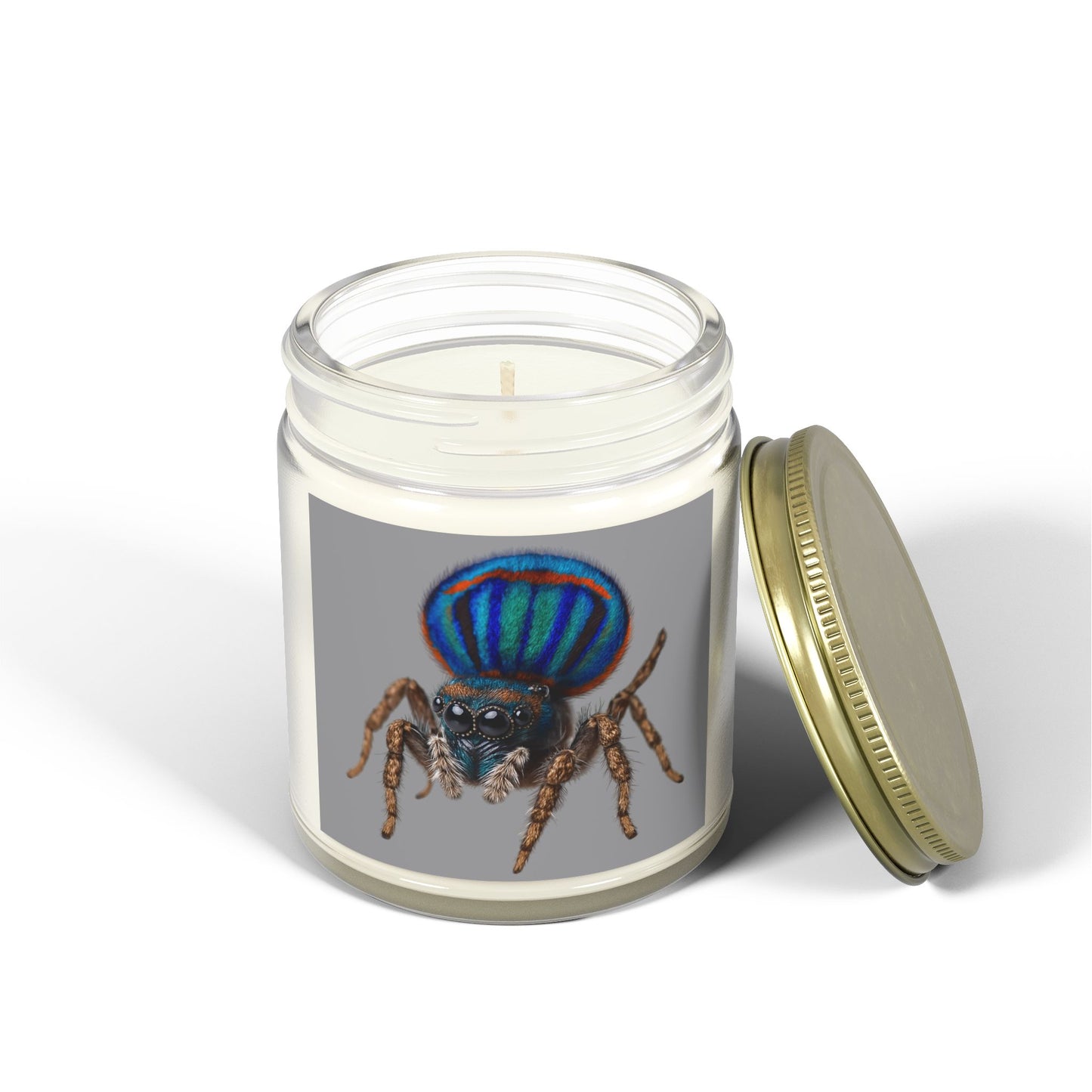 Scented Candles, Coconut Apricot Wax (4oz, 9oz)