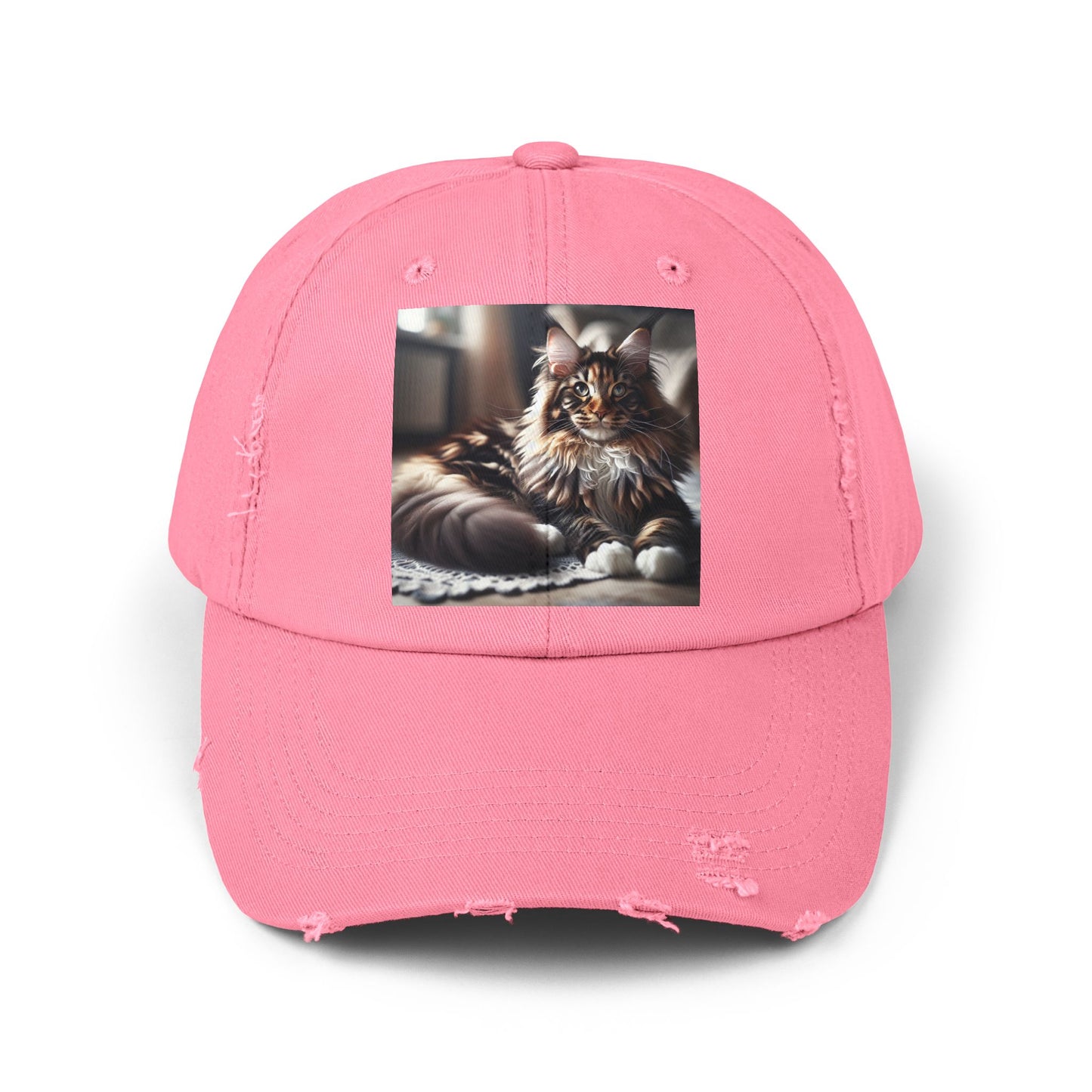 Unisex Distressed Cap