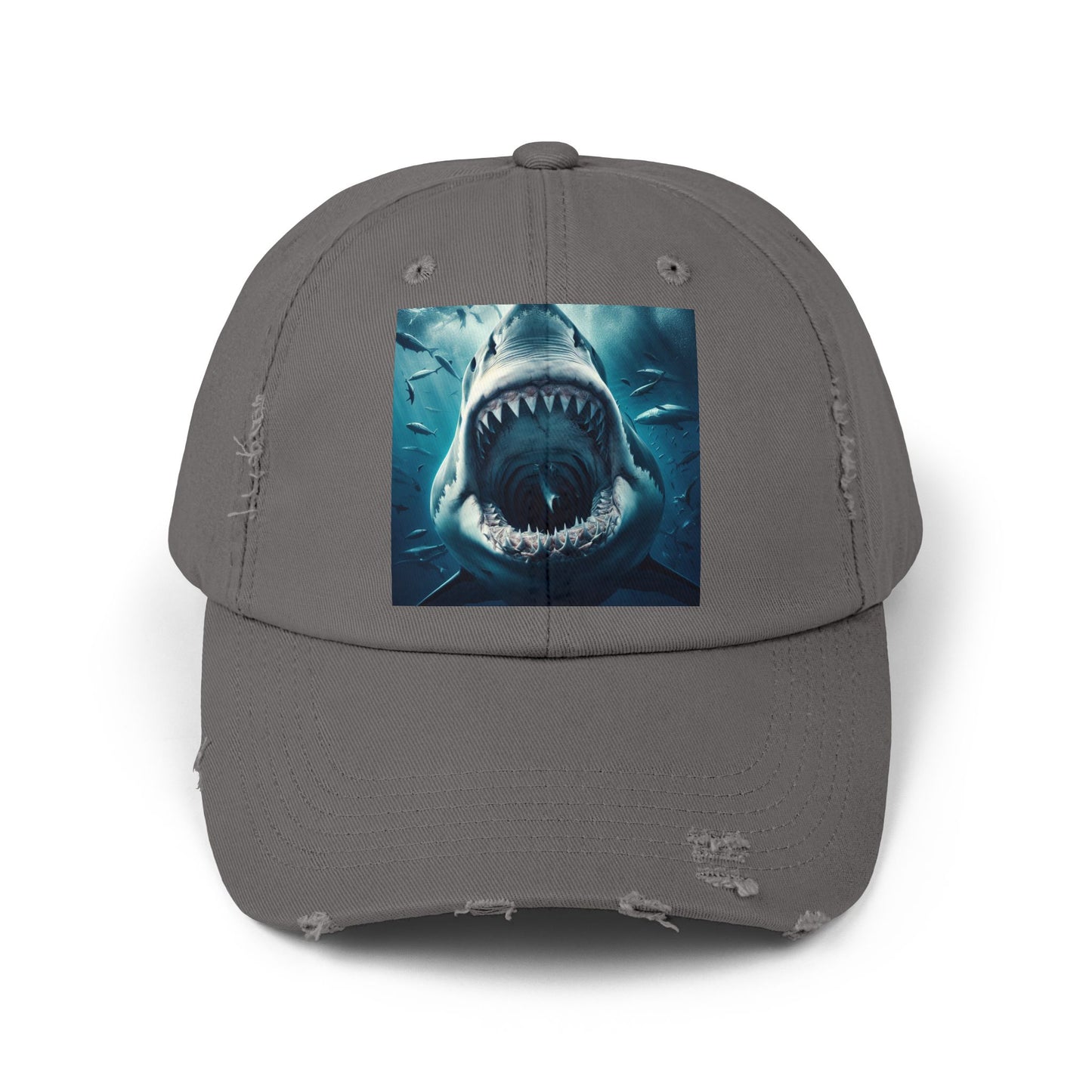 Unisex Distressed Cap