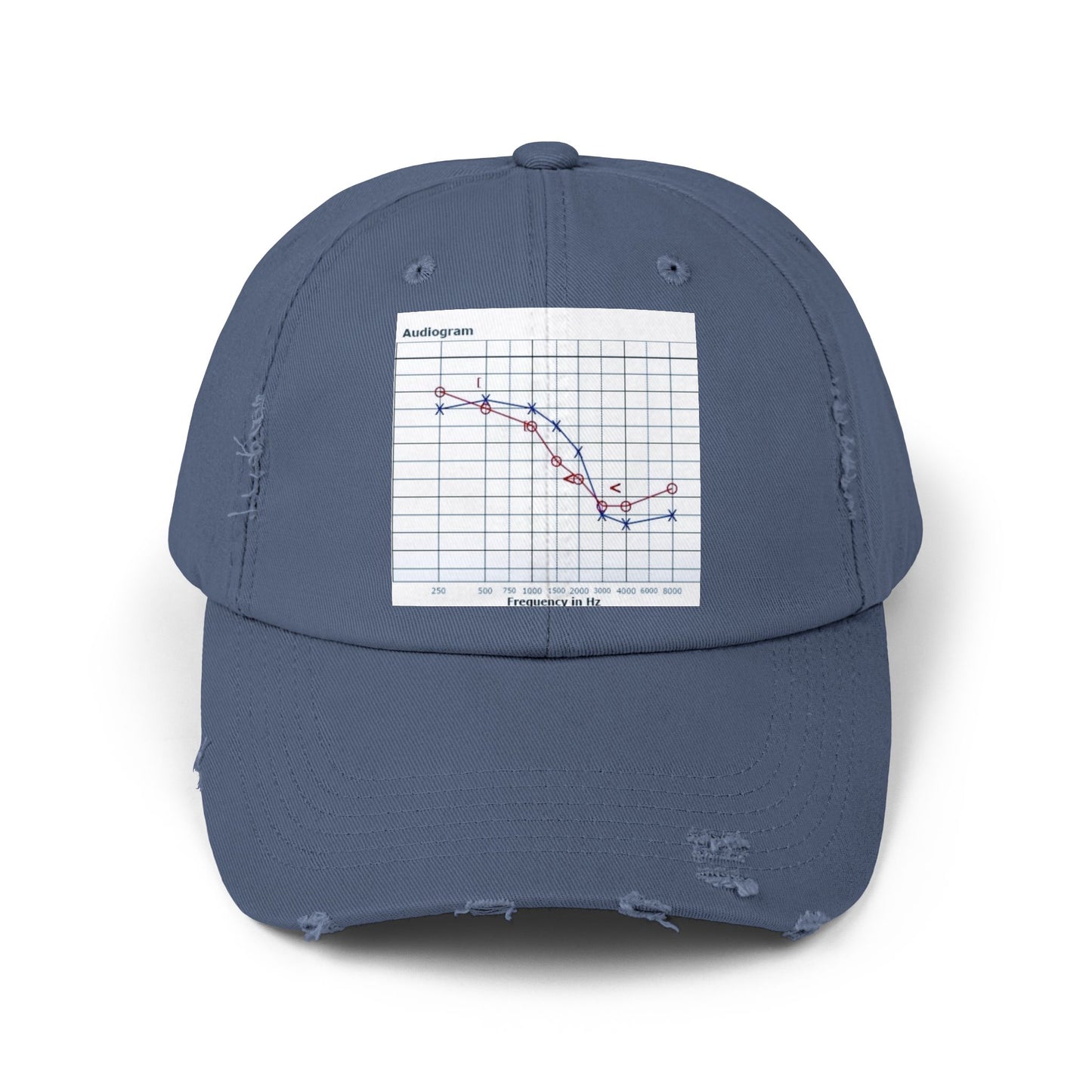 Unisex Distressed Cap