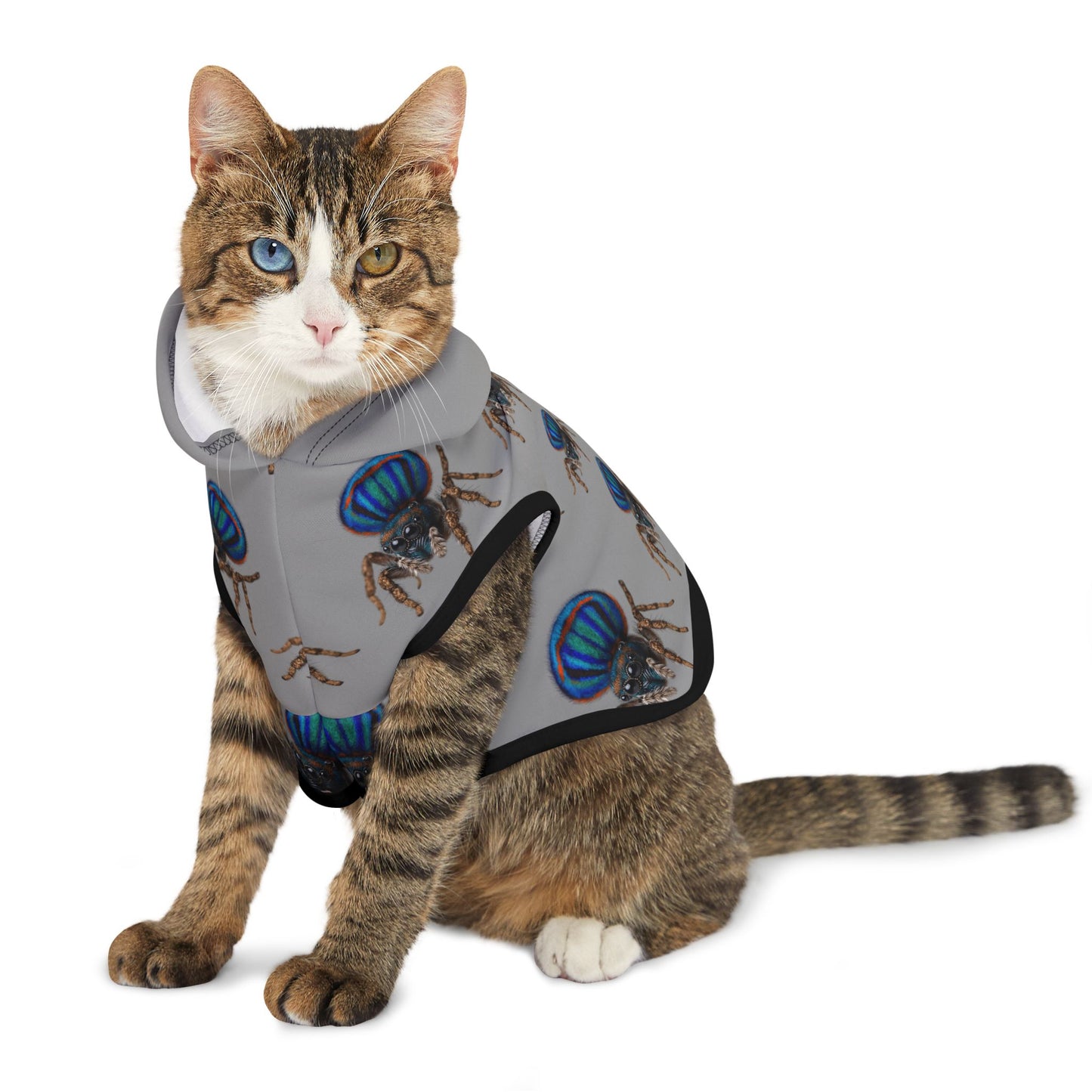 Pet Hoodie