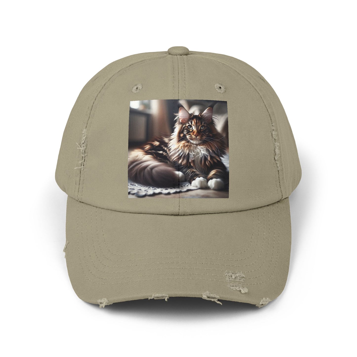 Unisex Distressed Cap