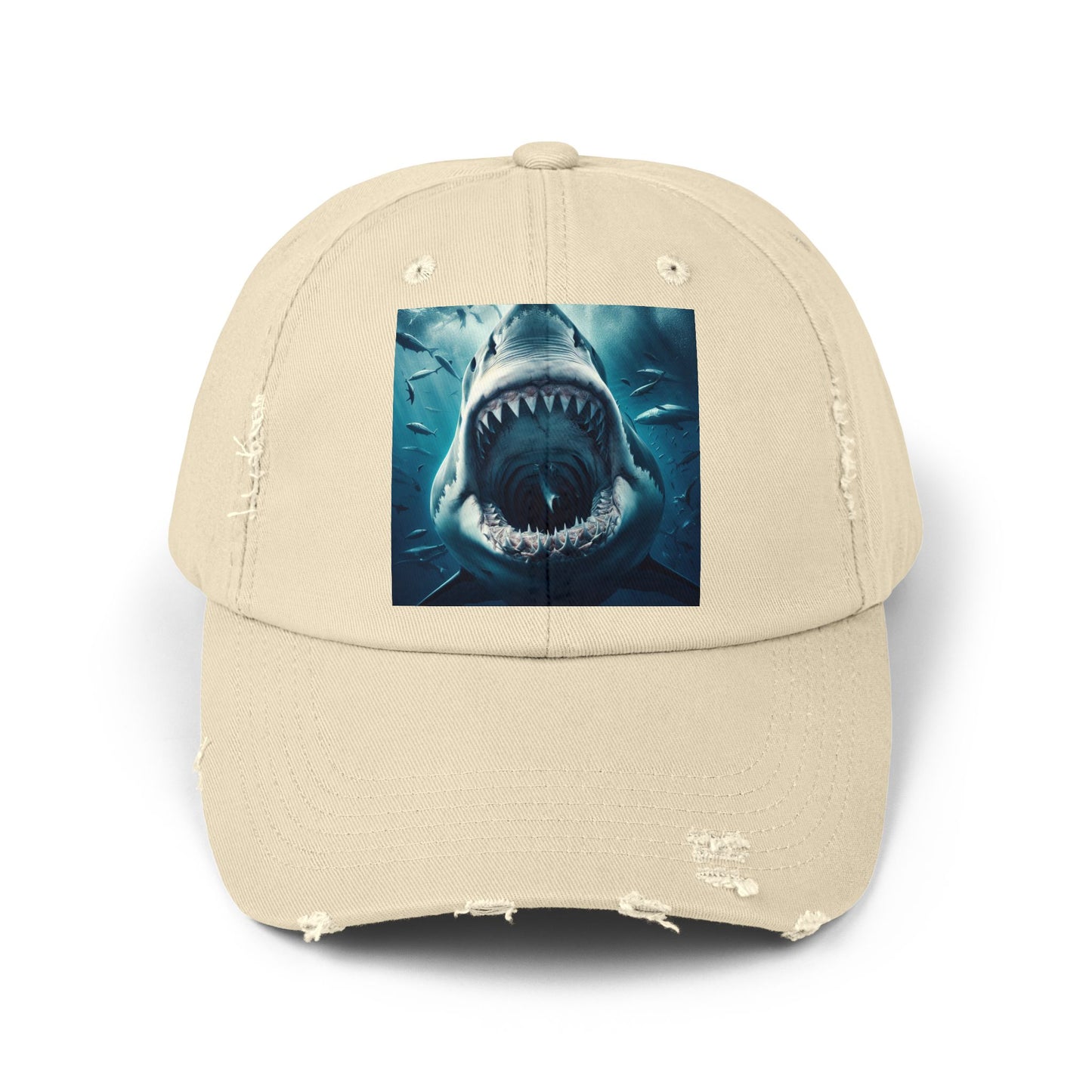 Unisex Distressed Cap