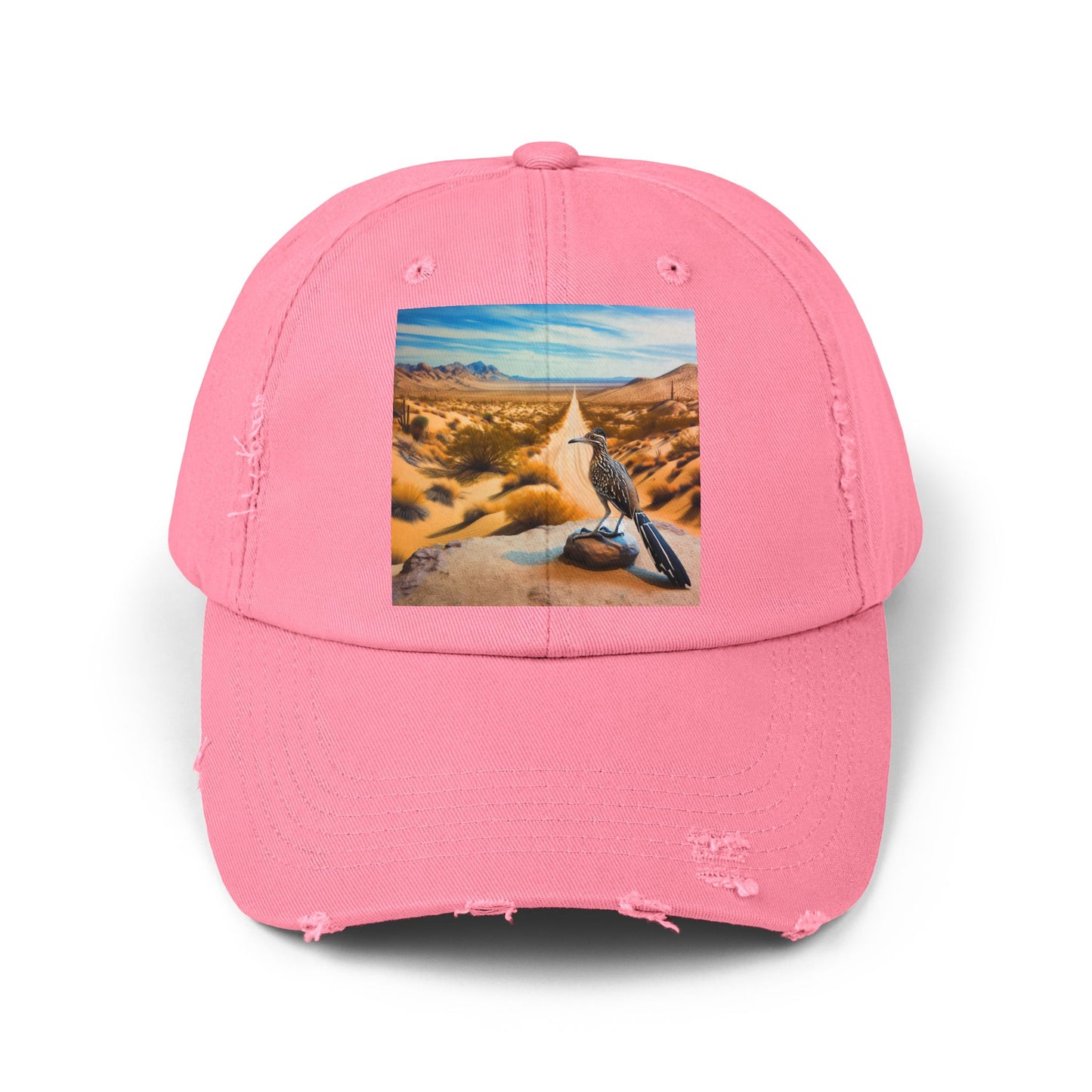 Unisex Distressed Cap