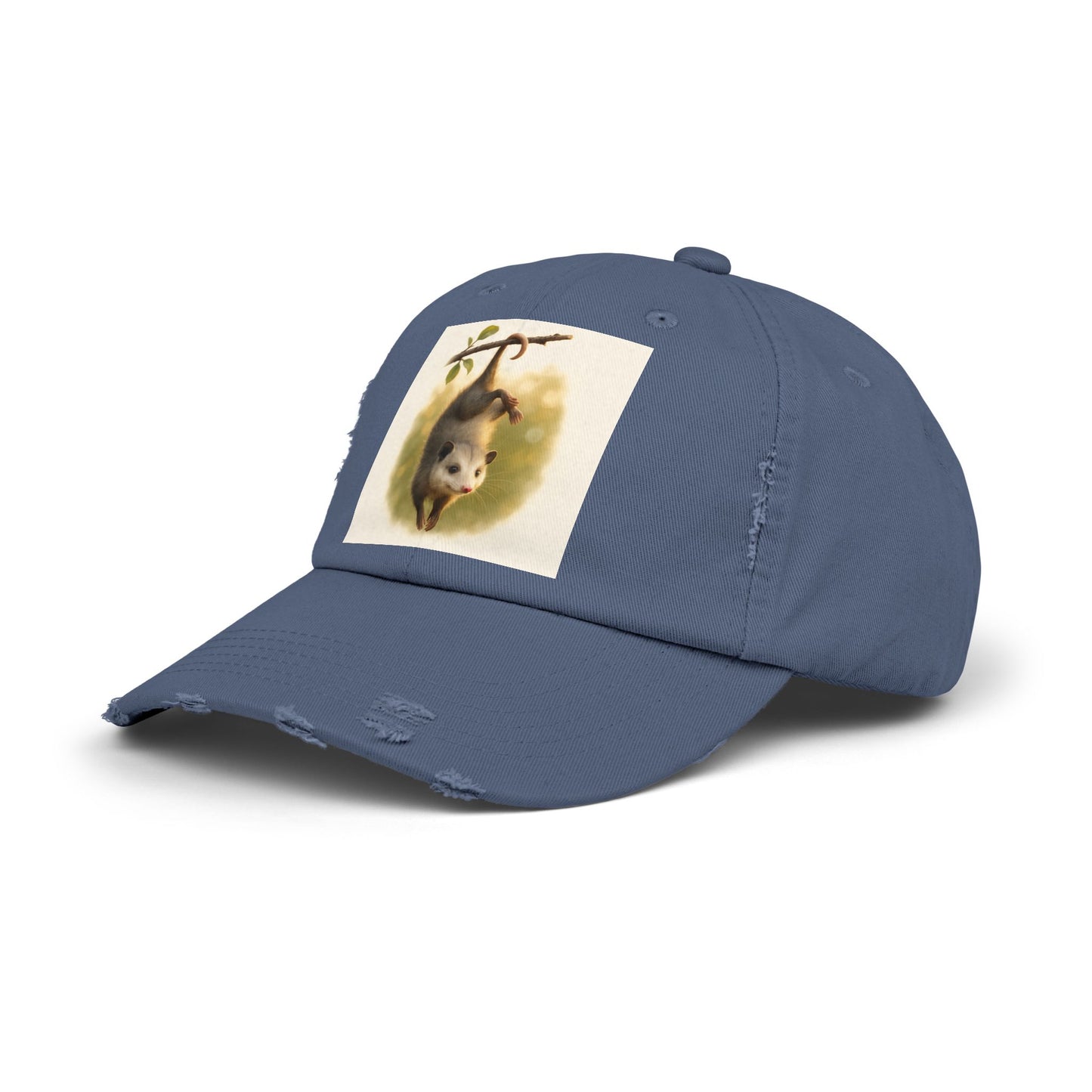 Unisex Distressed Cap