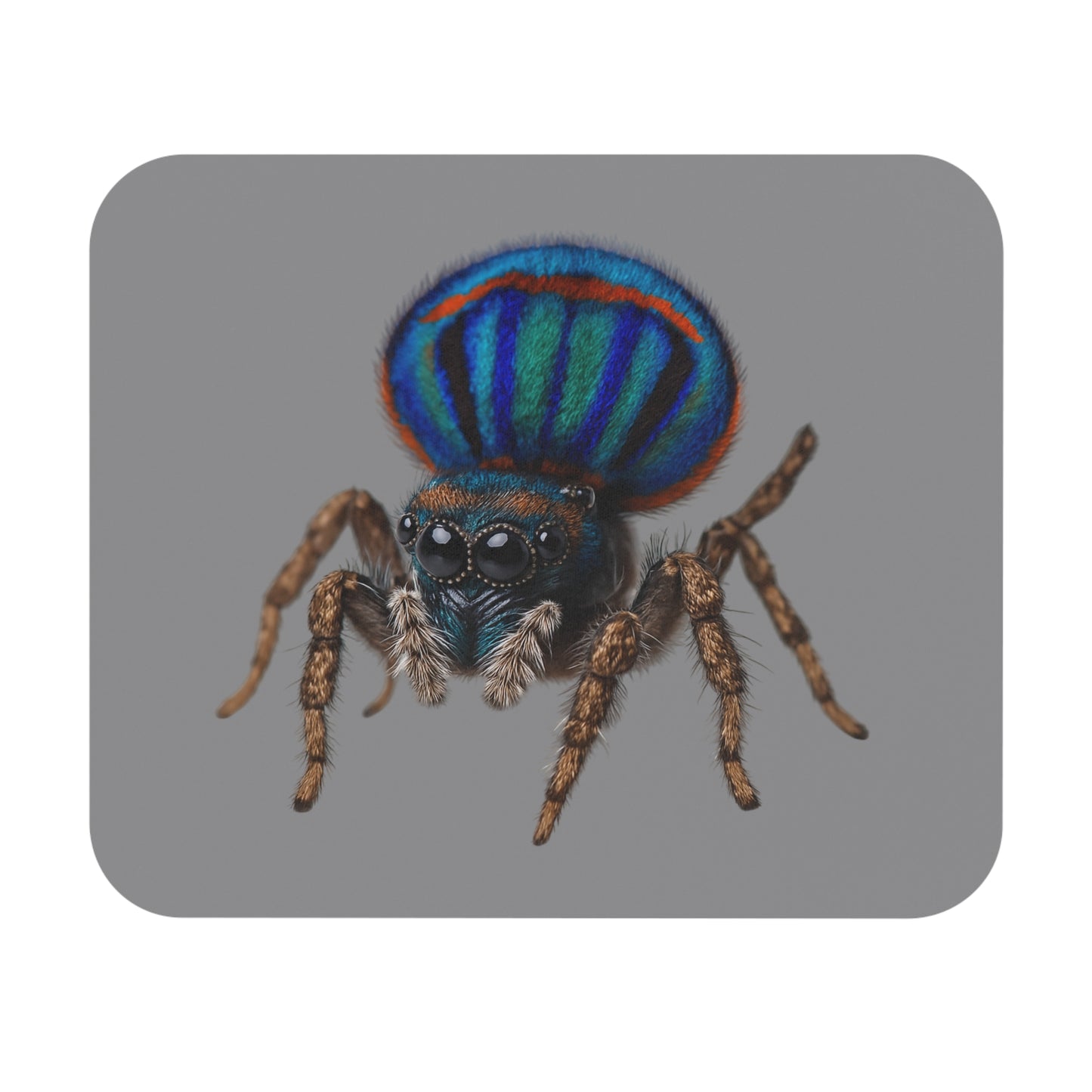 Mouse Pad (Rectangle)