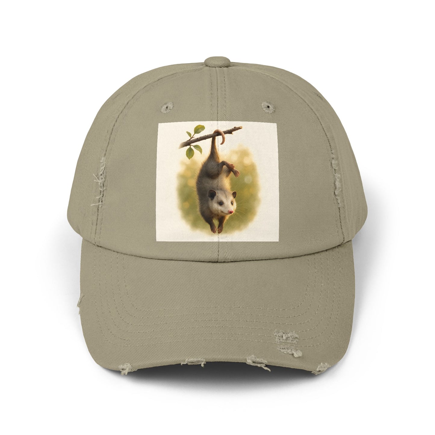 Unisex Distressed Cap